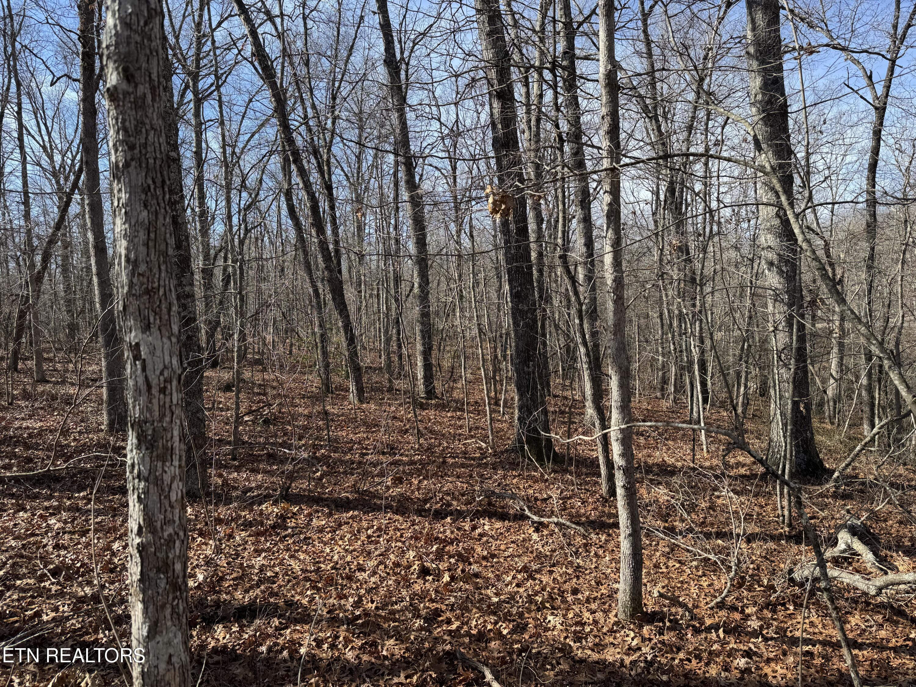 Lot 38 Crystal Point Monterey TN 38574