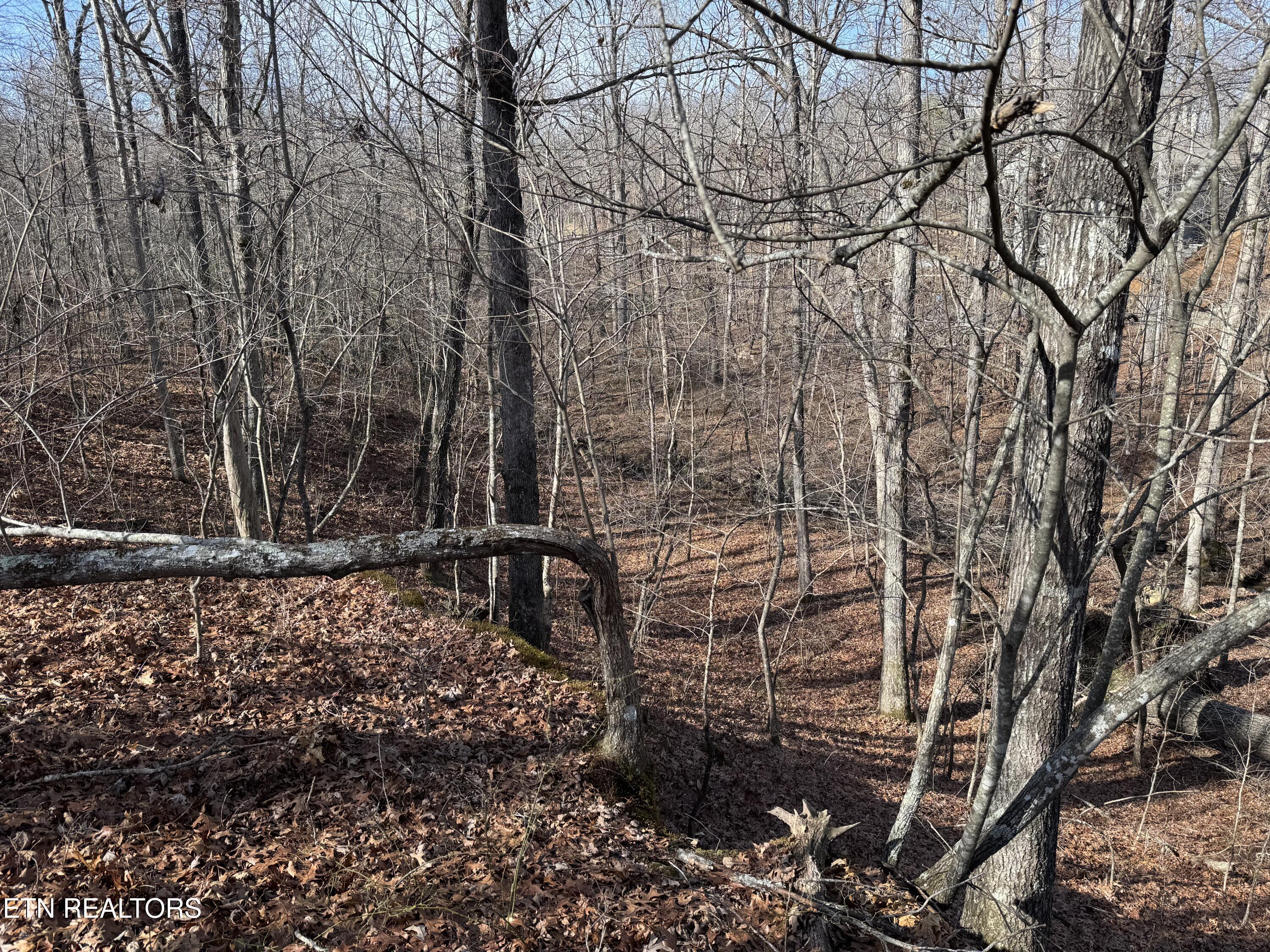 Lot 38 Crystal Point Monterey TN 38574