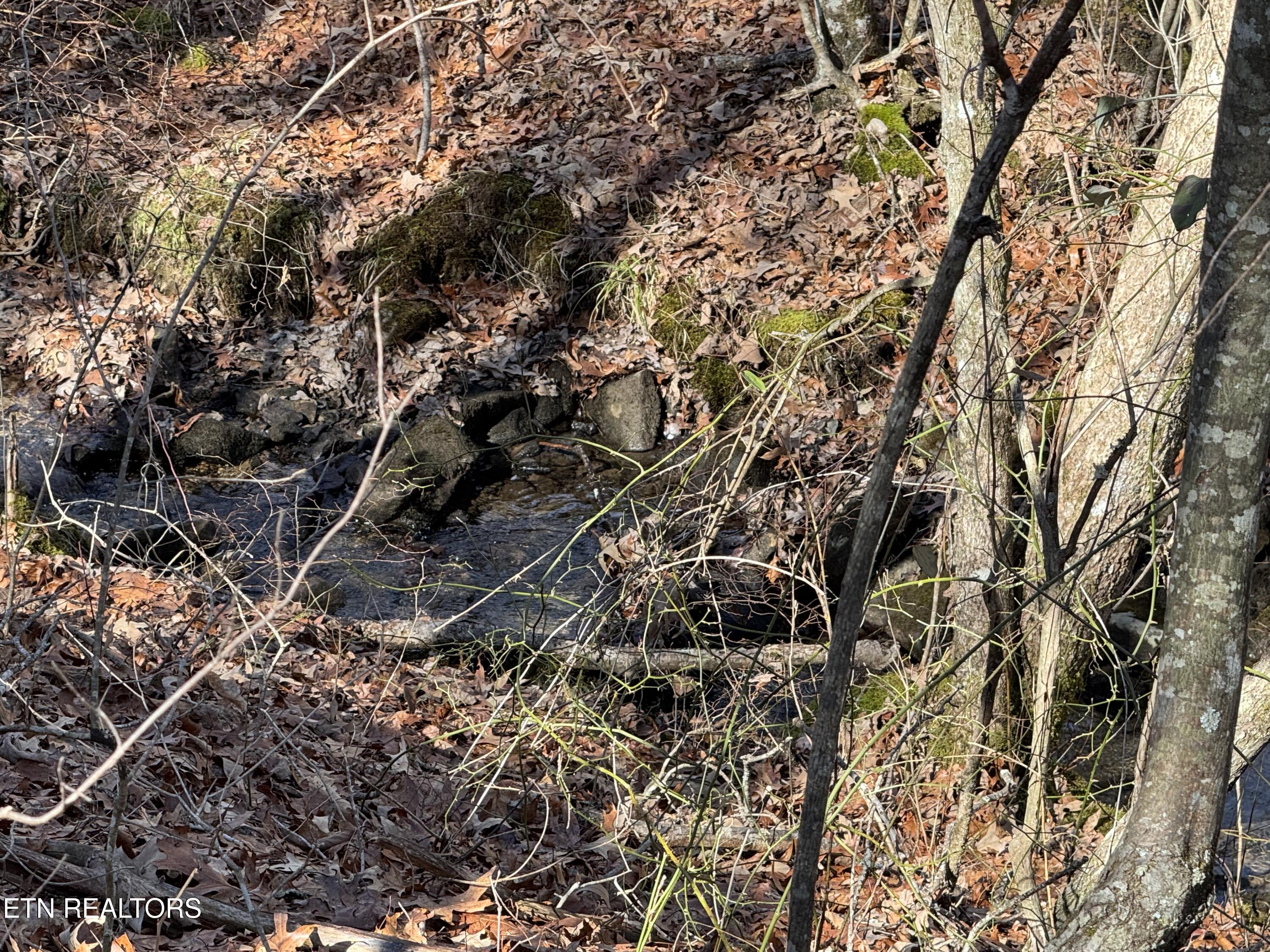 Lot 38 Crystal Point Monterey TN 38574