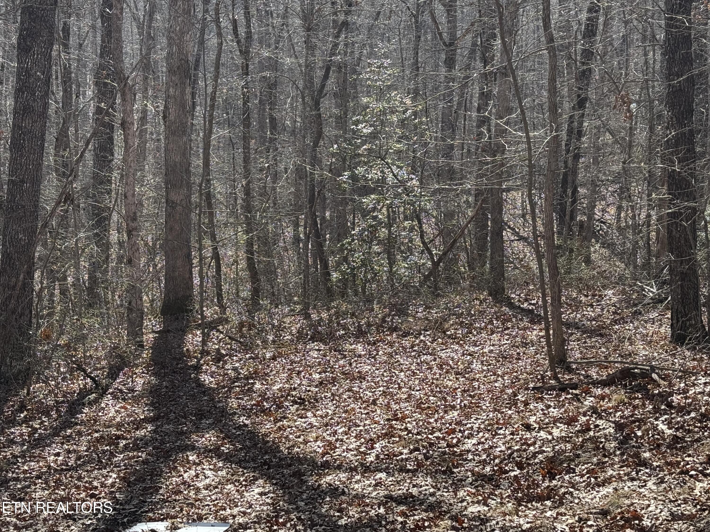 Lot 38 Crystal Point Monterey TN 38574