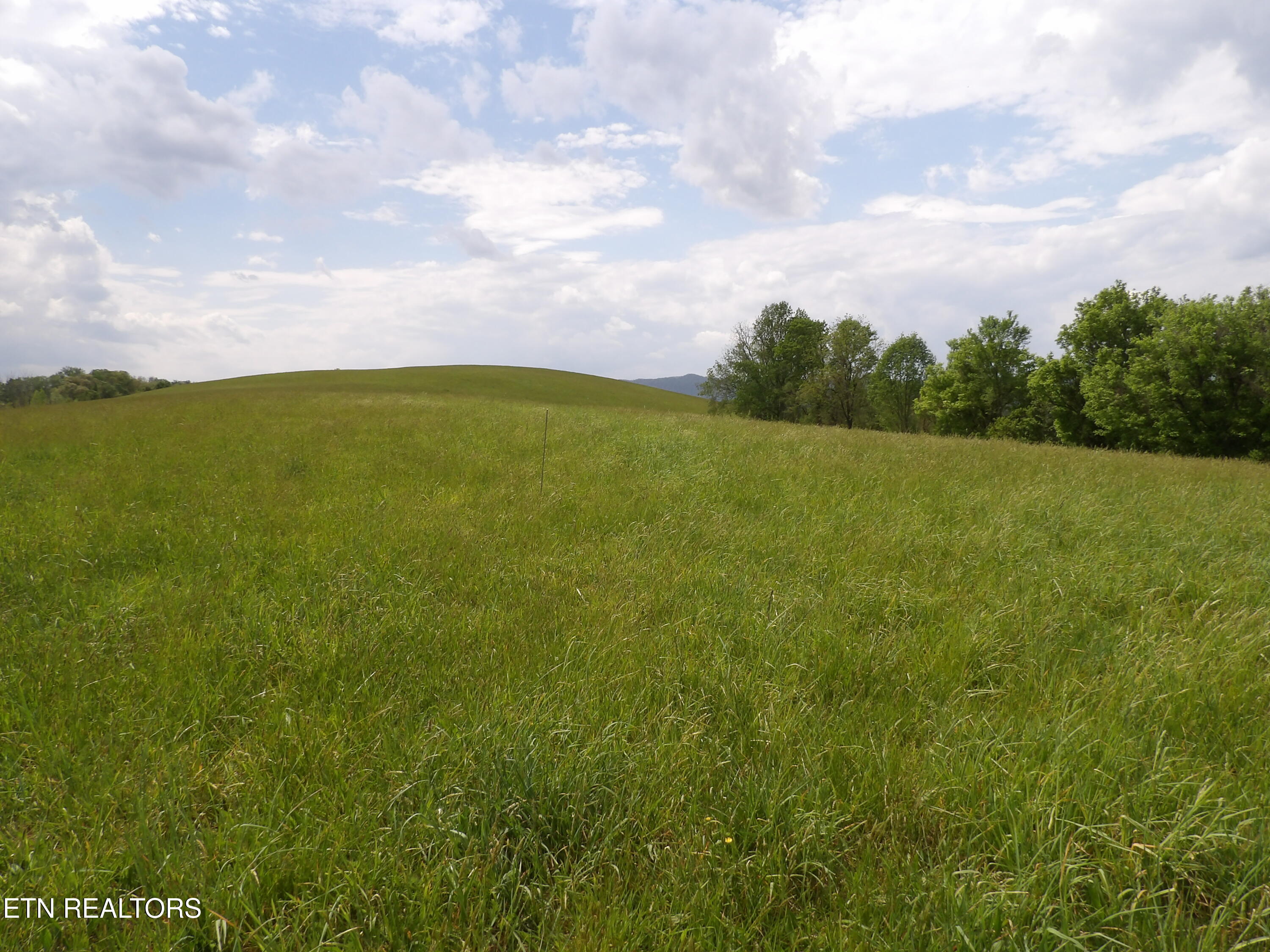 Tbd Bolton Hollow Road Harrogate TN 37752