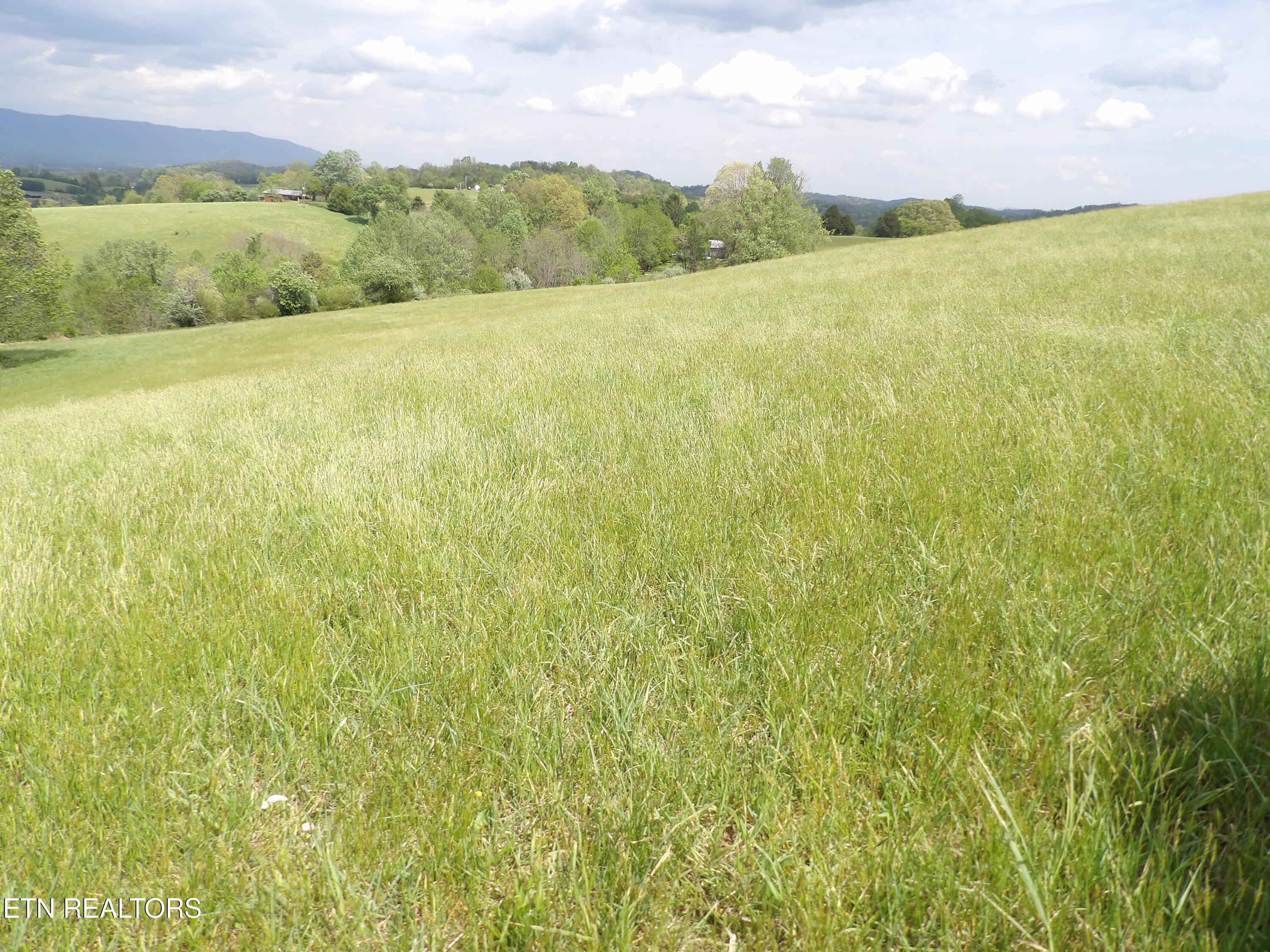 Tbd Bolton Hollow Road Harrogate TN 37752