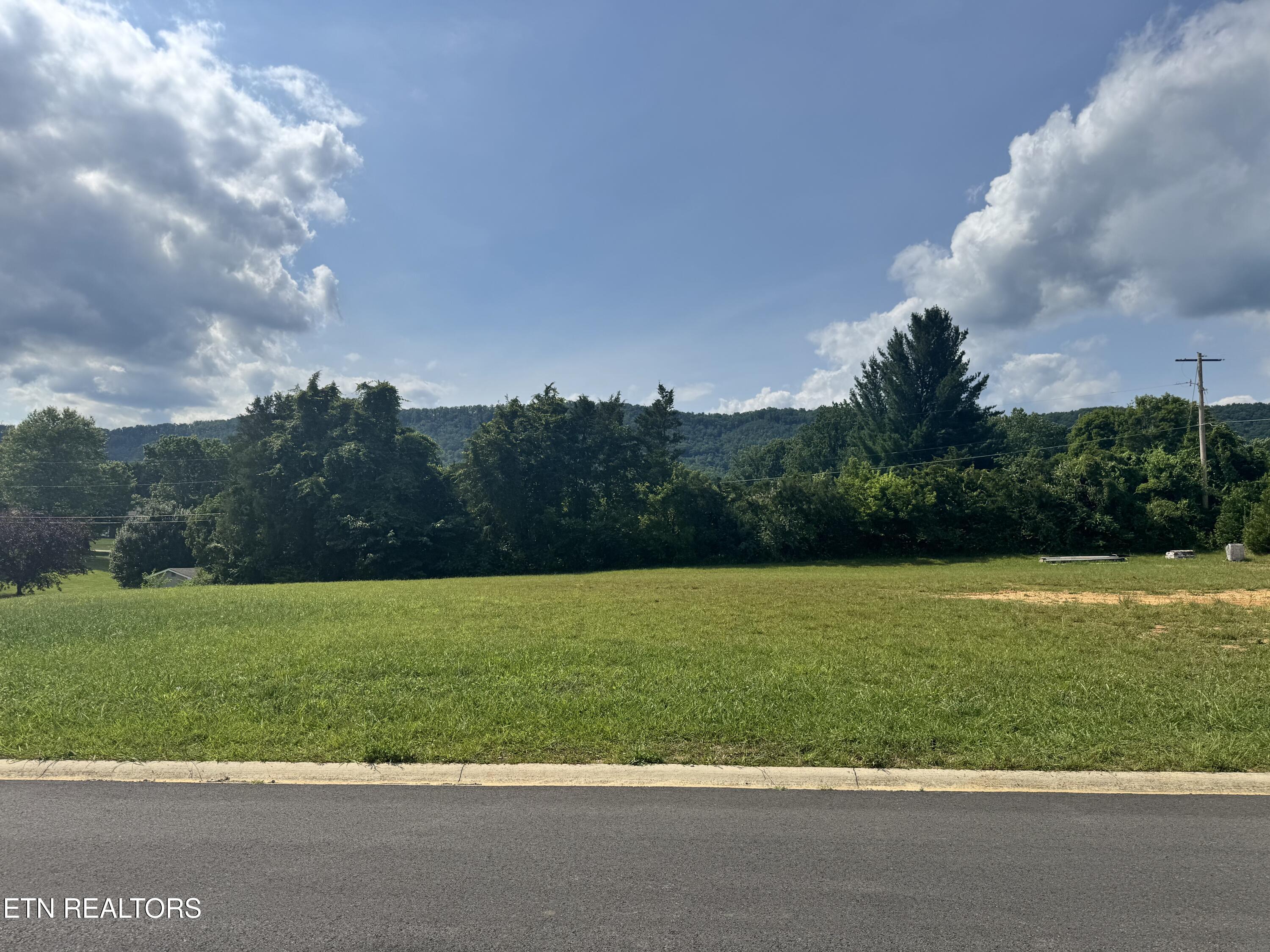 Grandview Lane Jacksboro TN 37757
