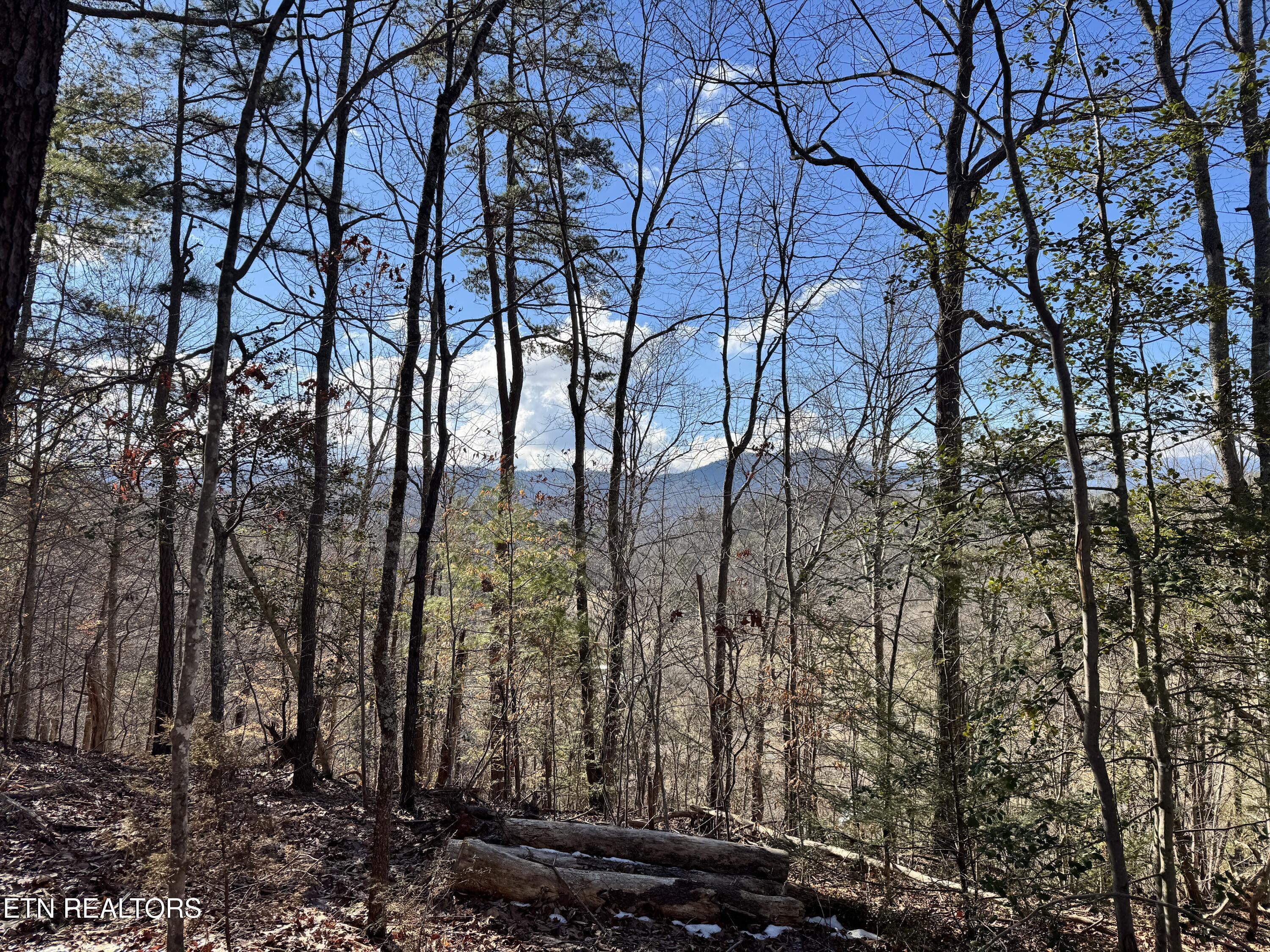 Deerfoot Road Cosby TN 37722