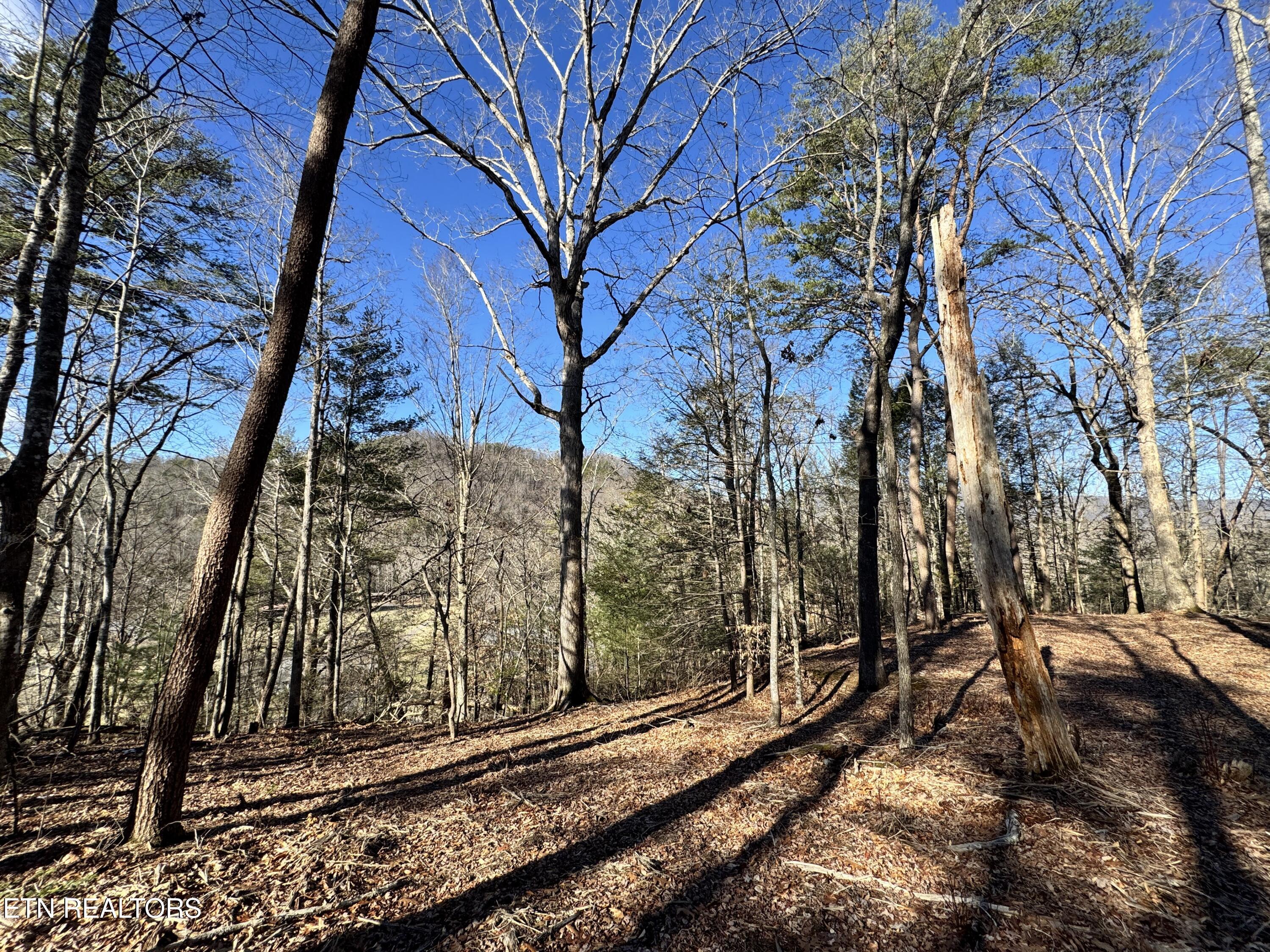 Deerfoot Road Cosby TN 37722