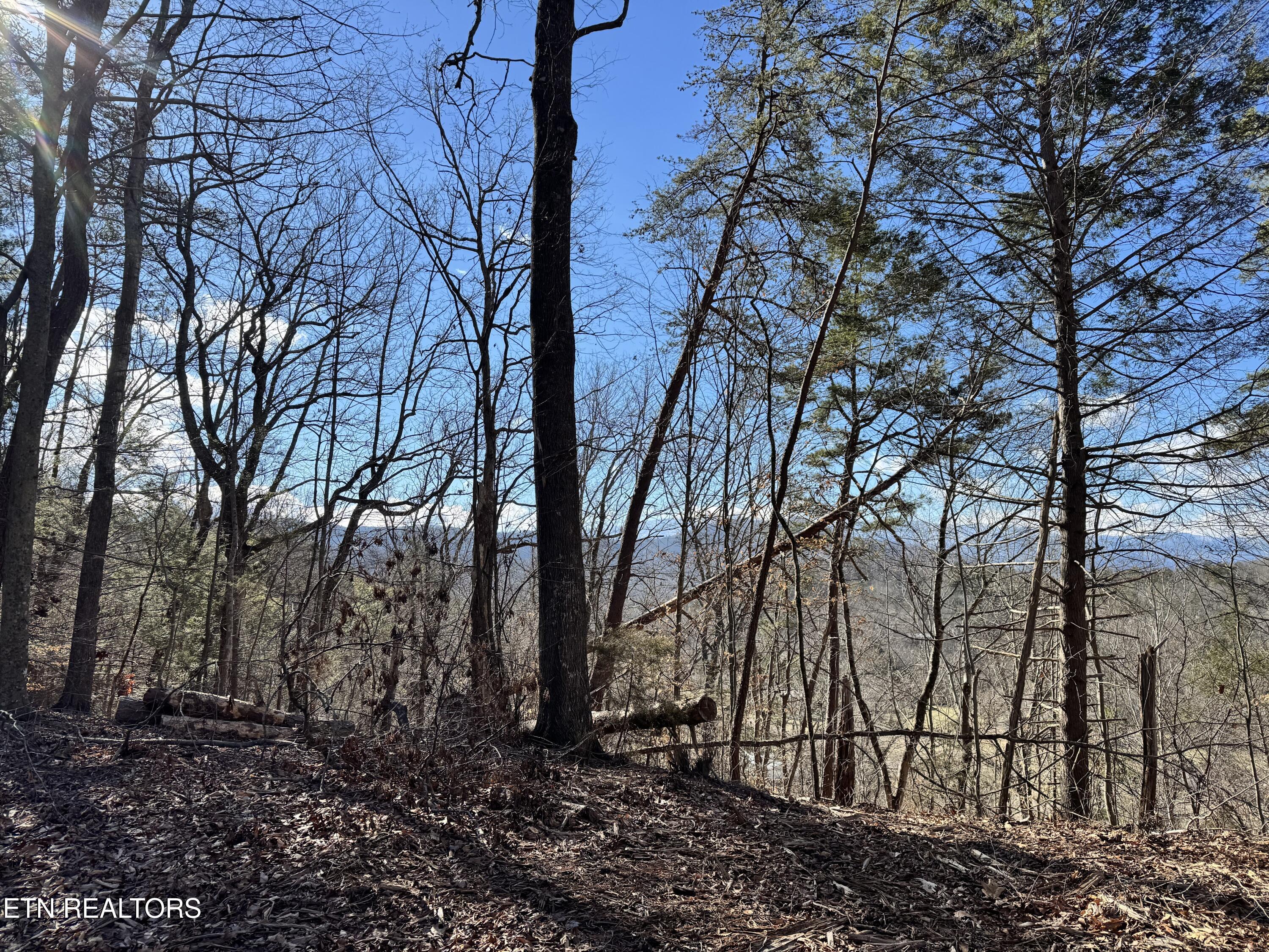 Deerfoot Road Cosby TN 37722