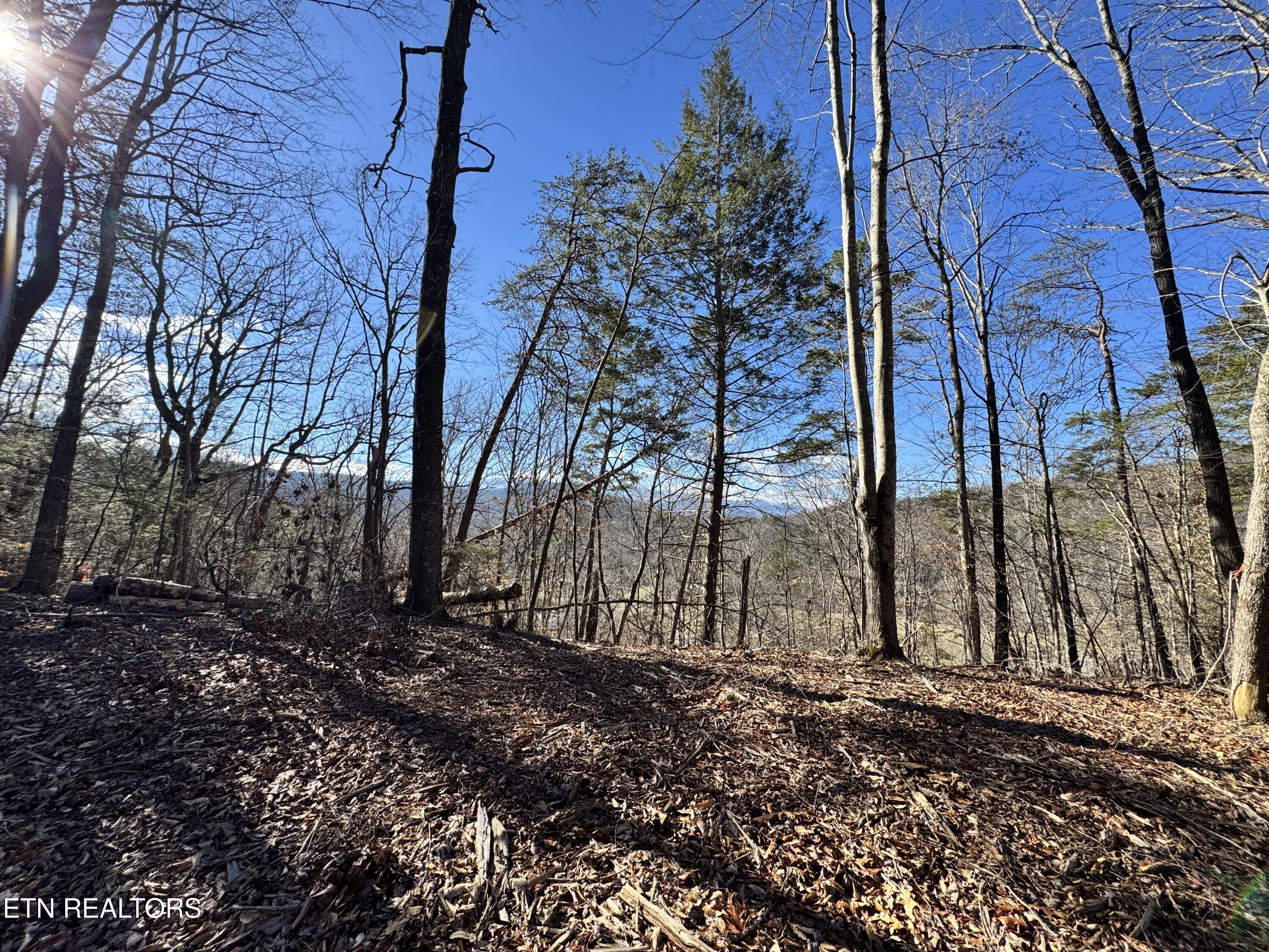 Deerfoot Road Cosby TN 37722