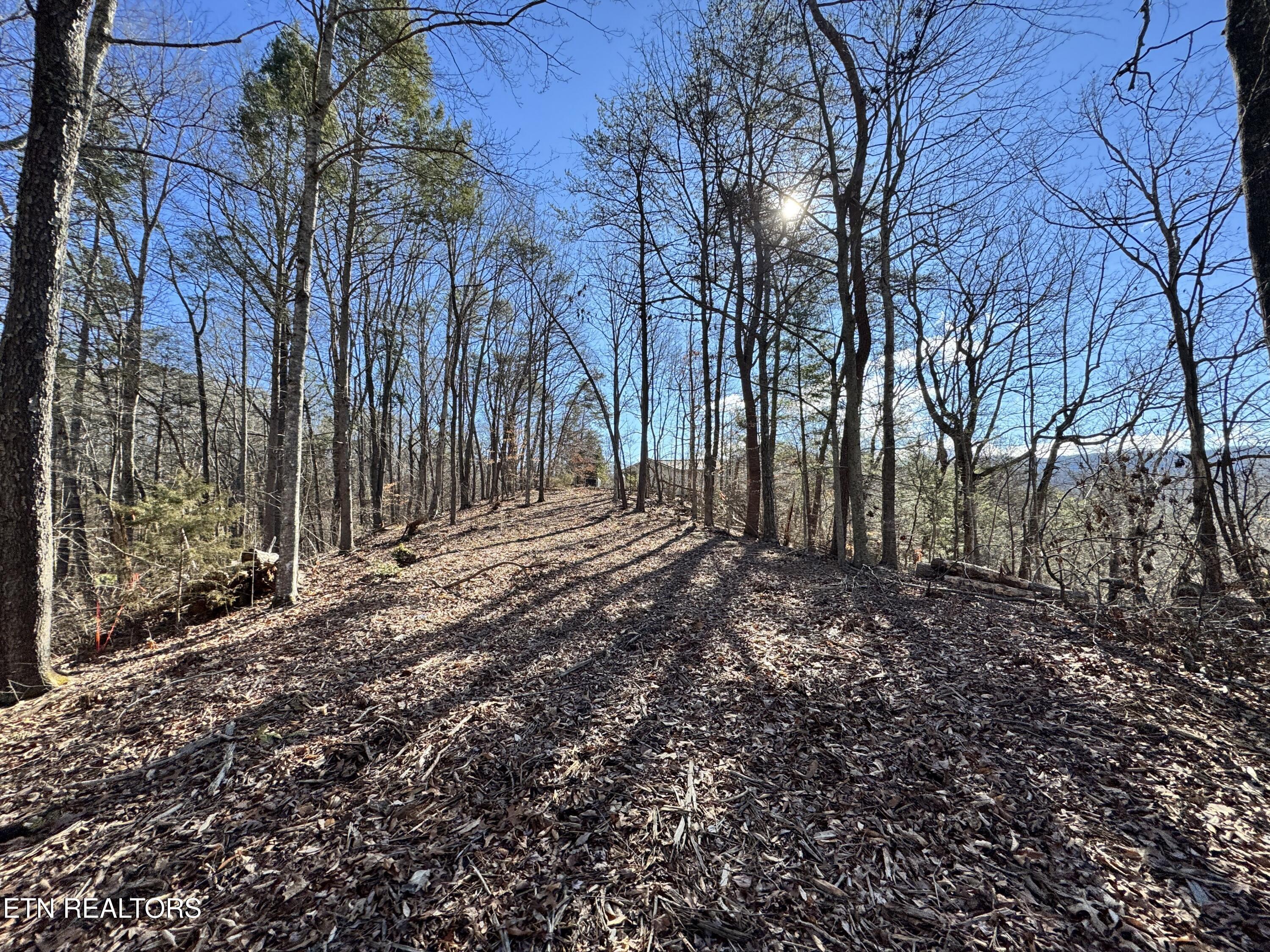Deerfoot Road Cosby TN 37722