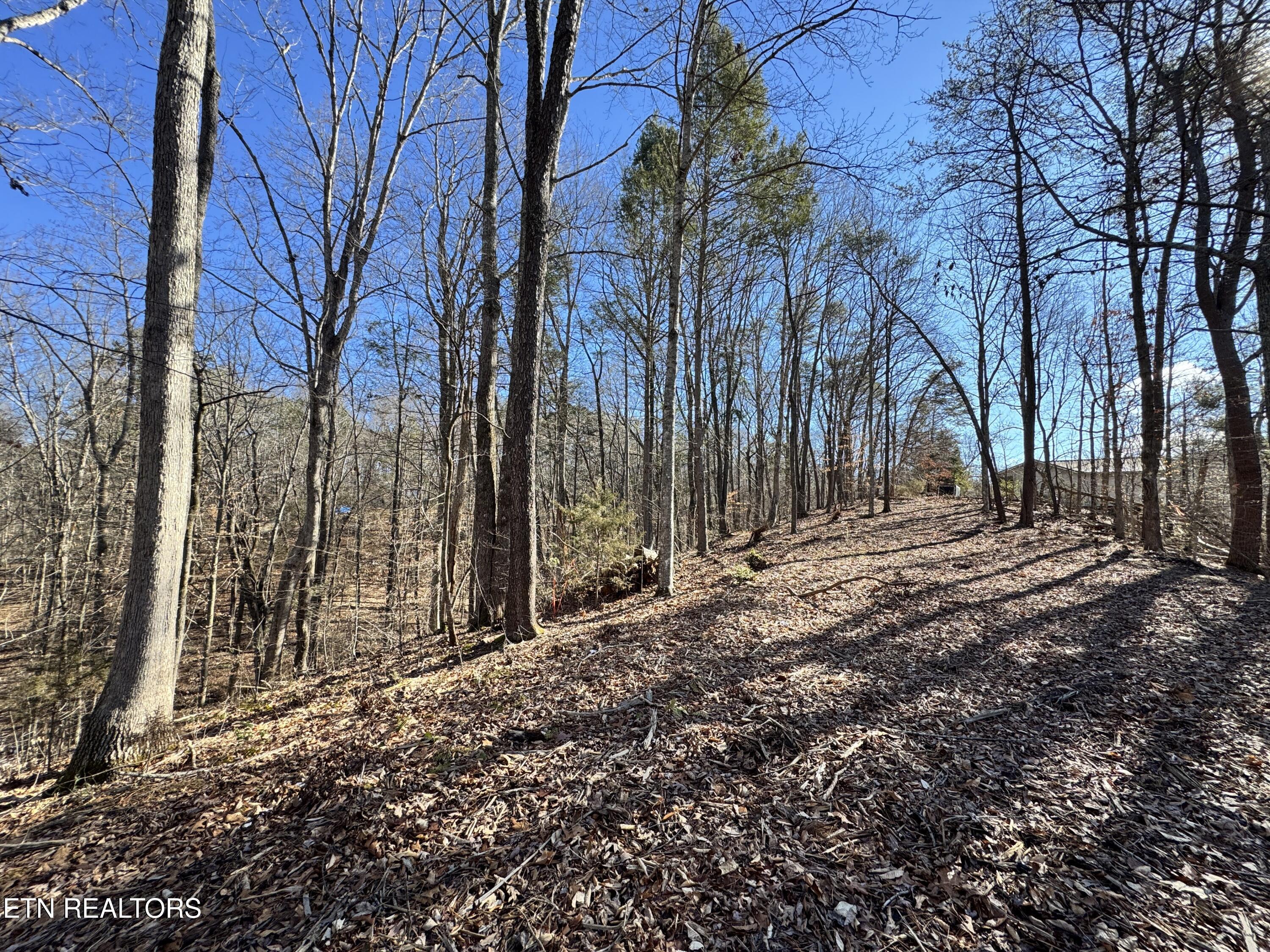Deerfoot Road Cosby TN 37722