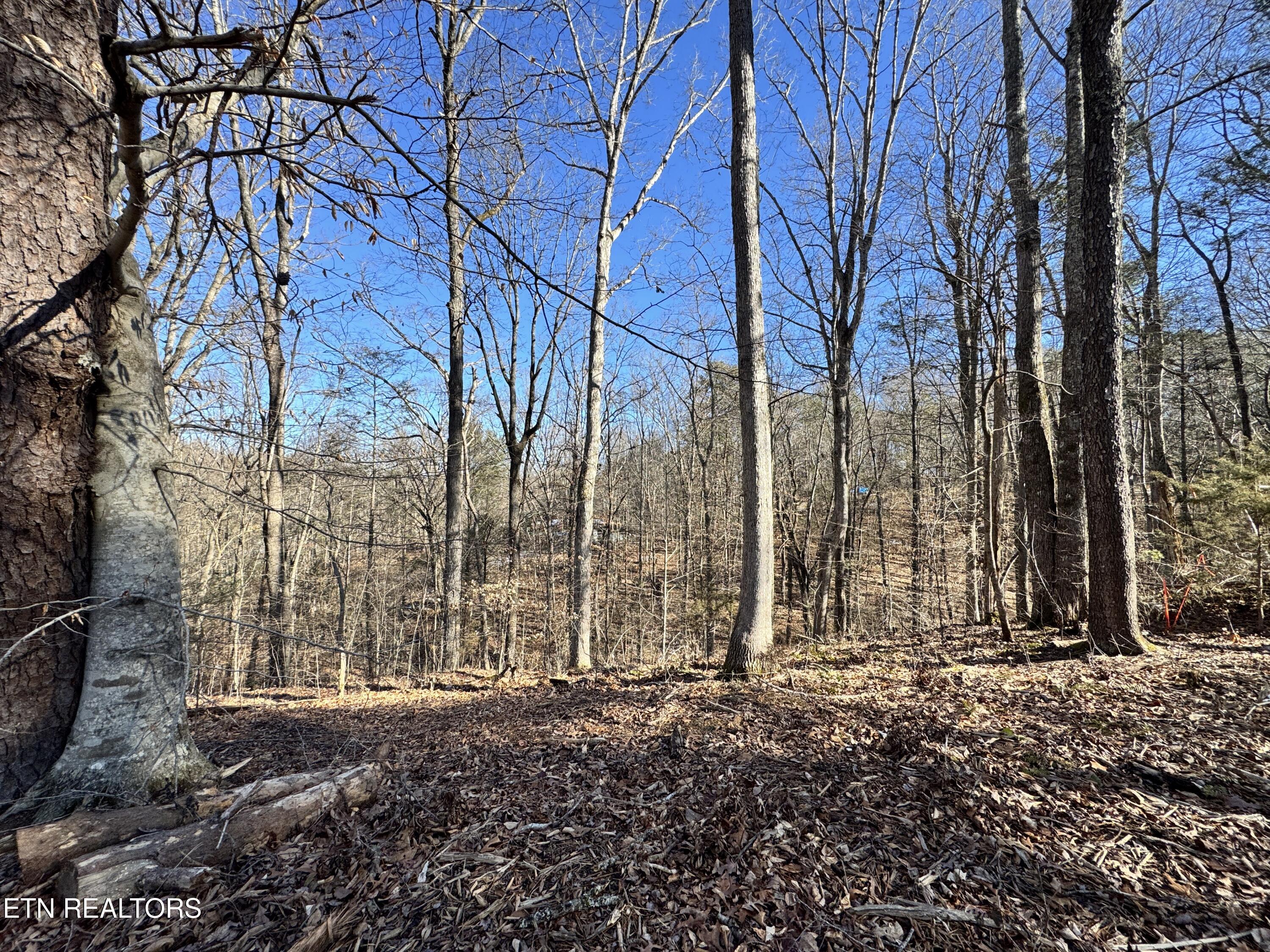 Deerfoot Road Cosby TN 37722
