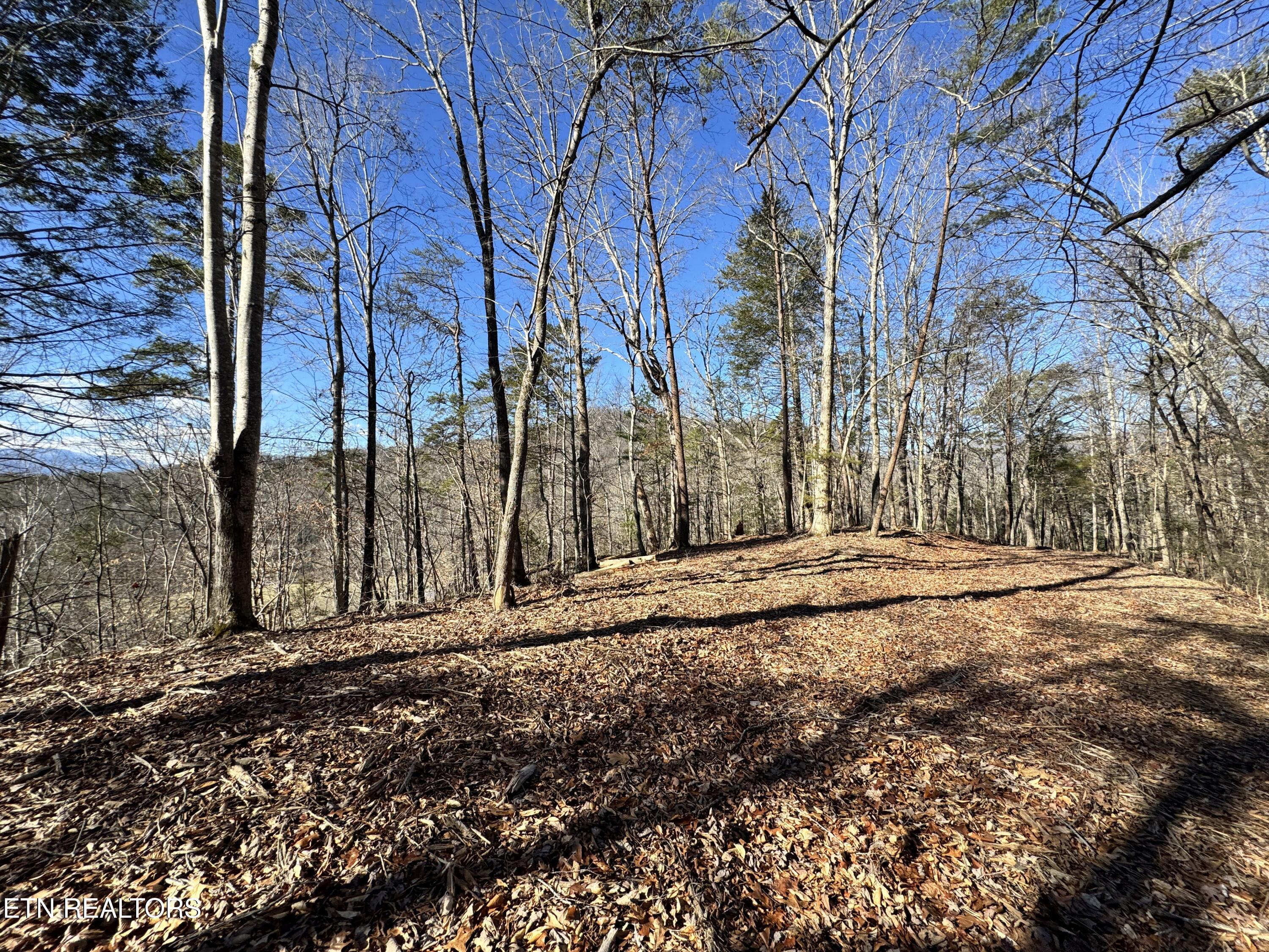 Deerfoot Road Cosby TN 37722