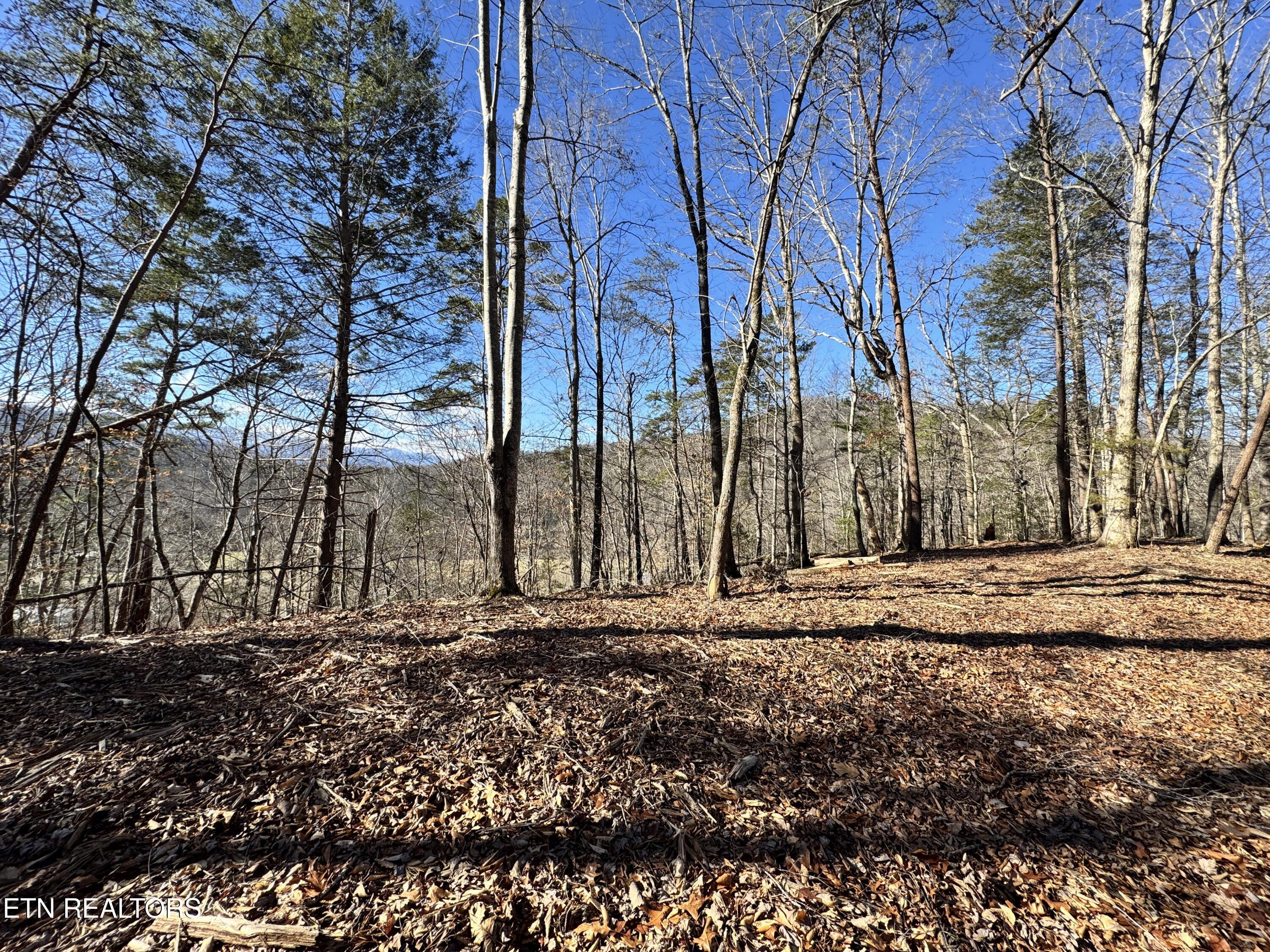 Deerfoot Road Cosby TN 37722