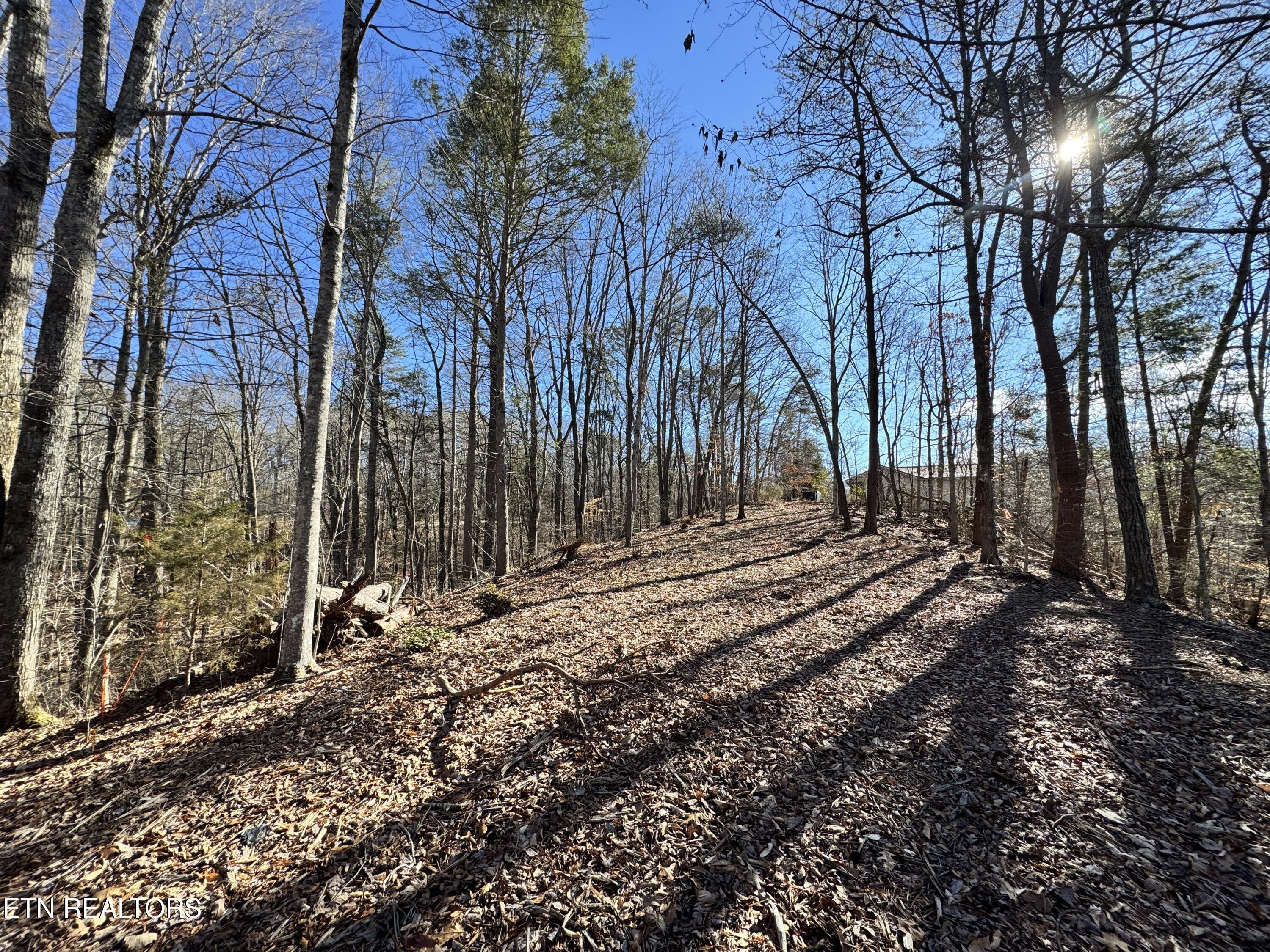 Deerfoot Road Cosby TN 37722