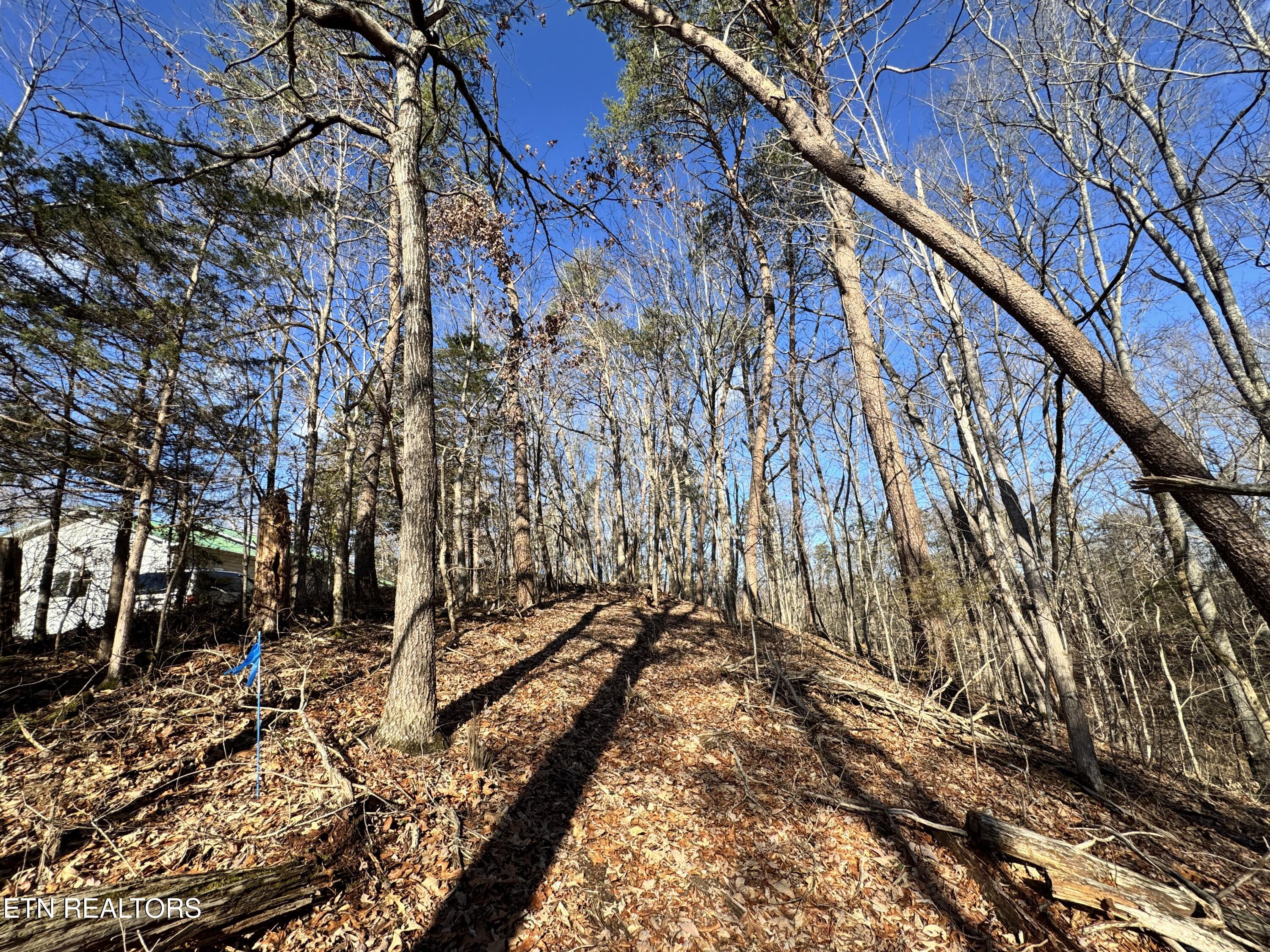 Deerfoot Road Cosby TN 37722