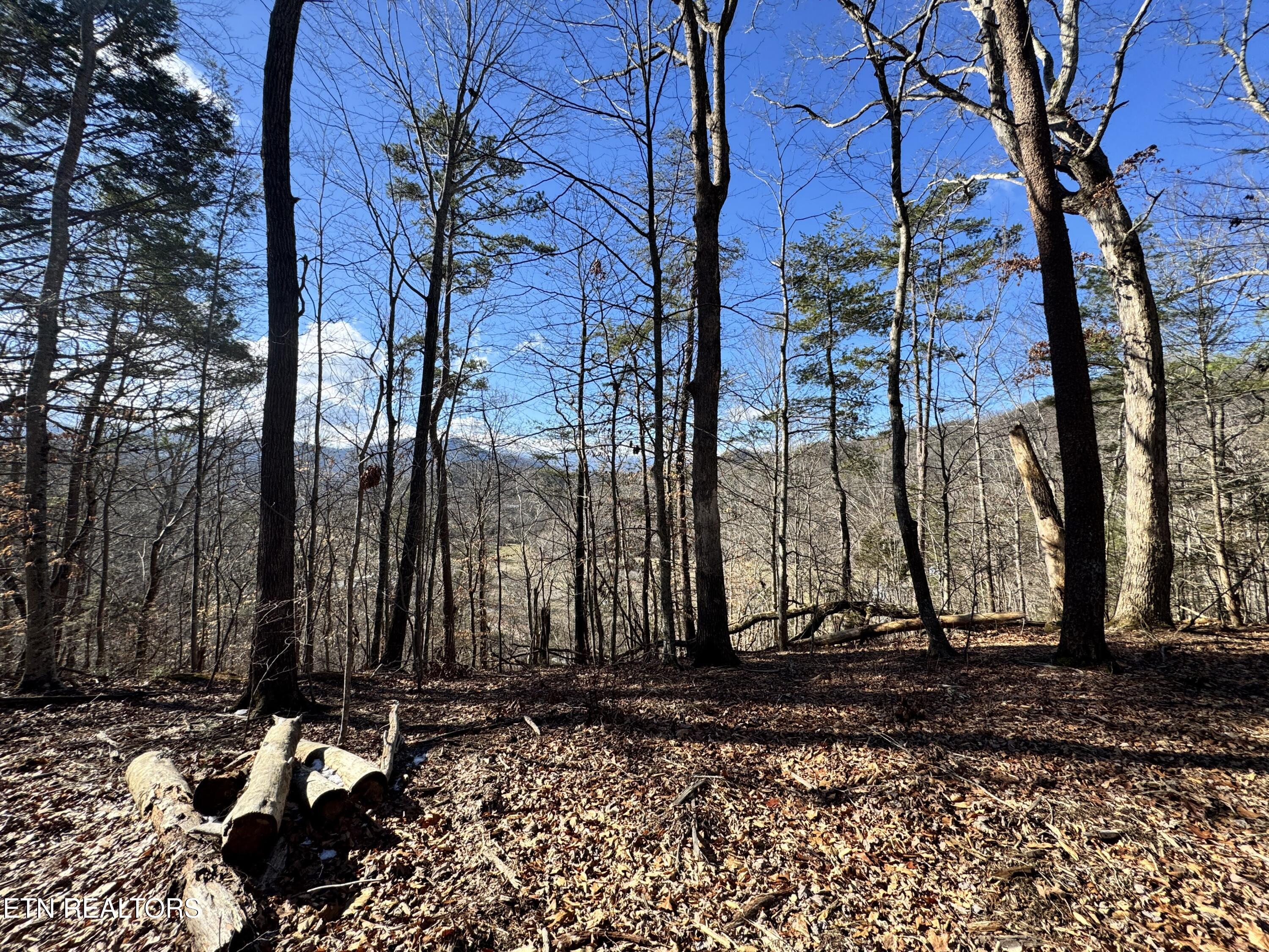 Deerfoot Road Cosby TN 37722