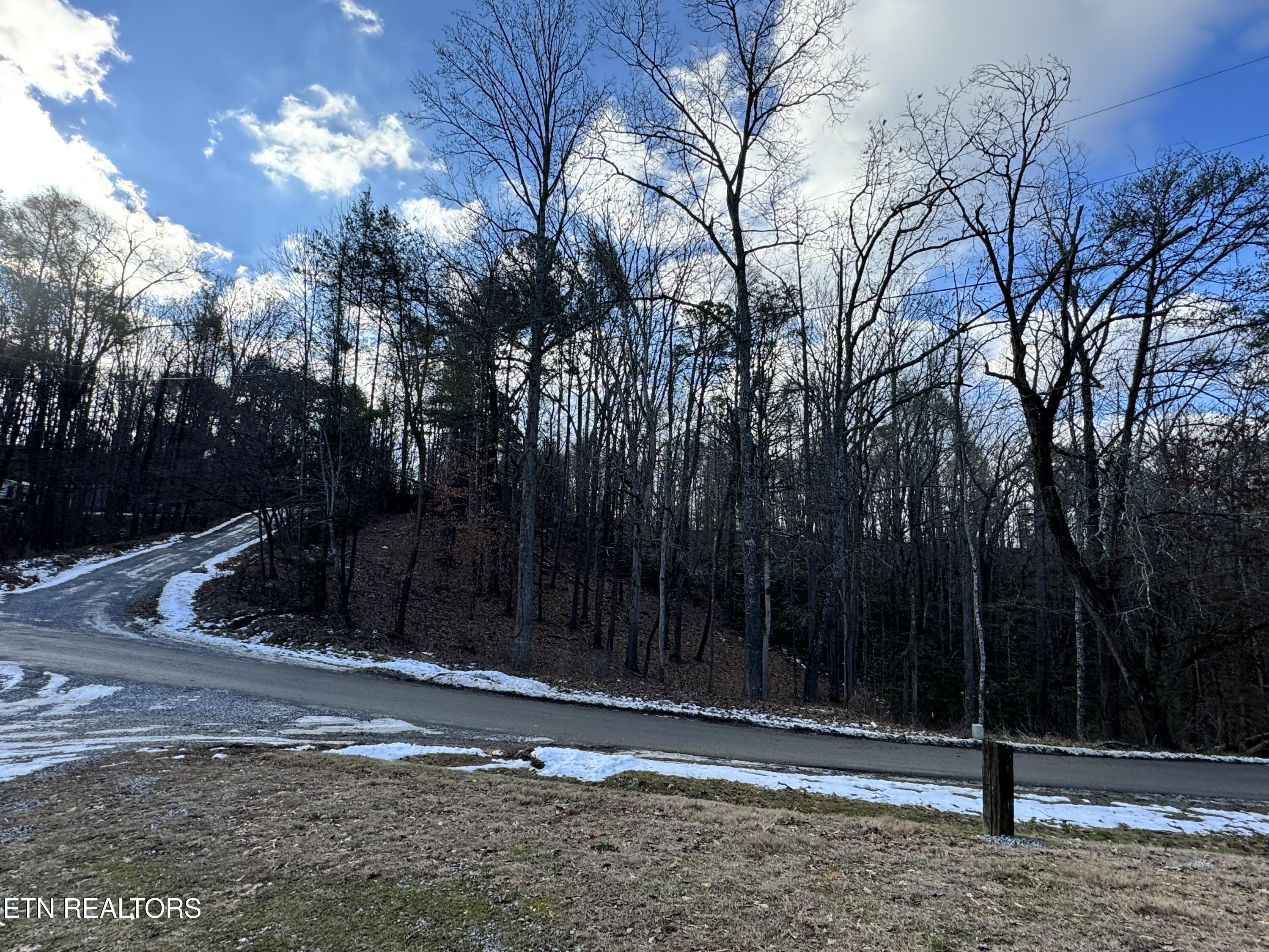 Deerfoot Road Cosby TN 37722