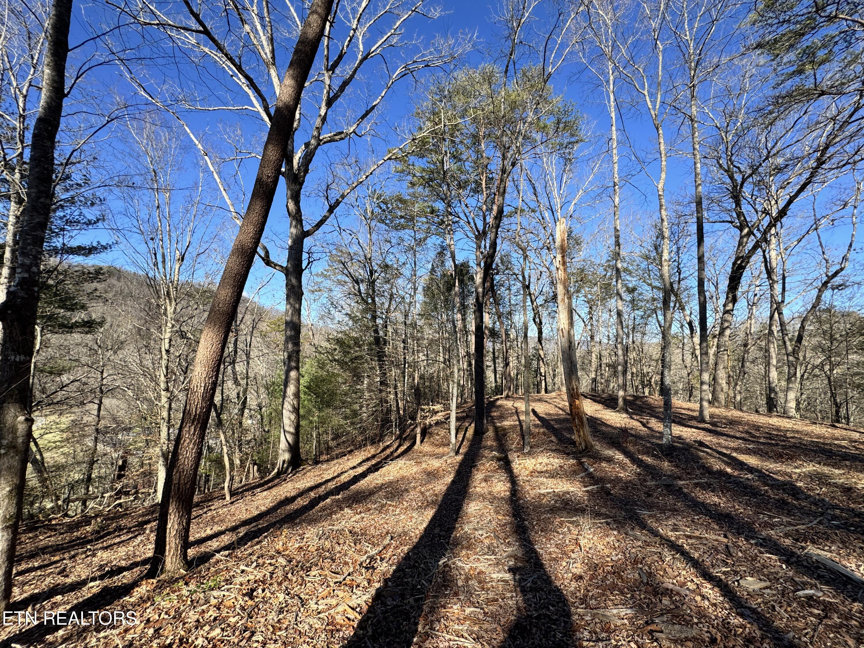 Deerfoot Road Cosby TN 37722