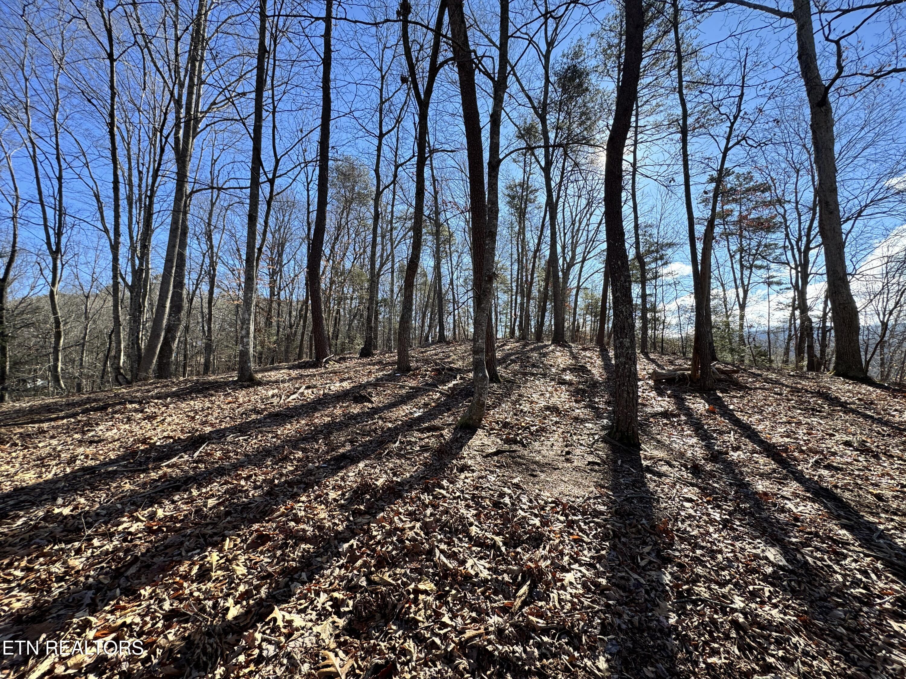 Deerfoot Road Cosby TN 37722
