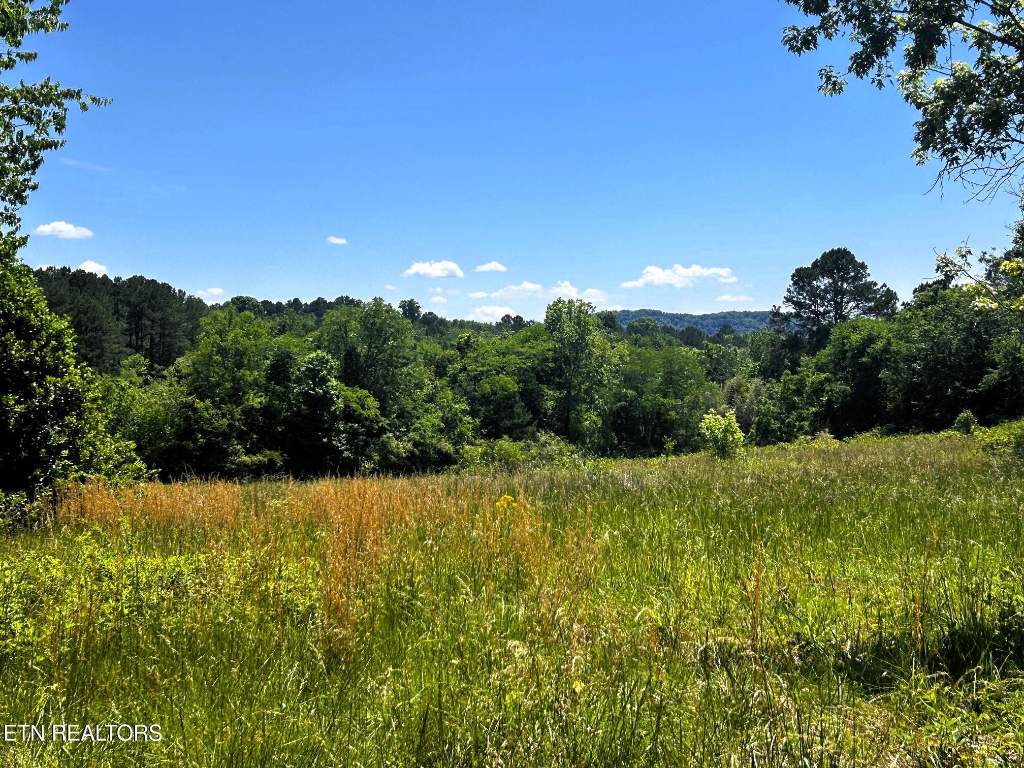 573 S Judd Road Decatur TN 37322