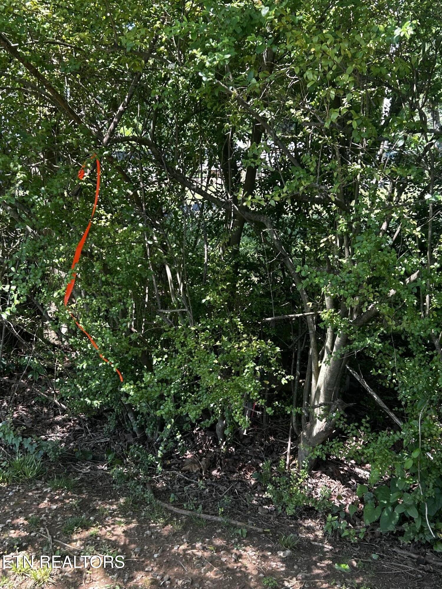 573 S Judd Road Decatur TN 37322