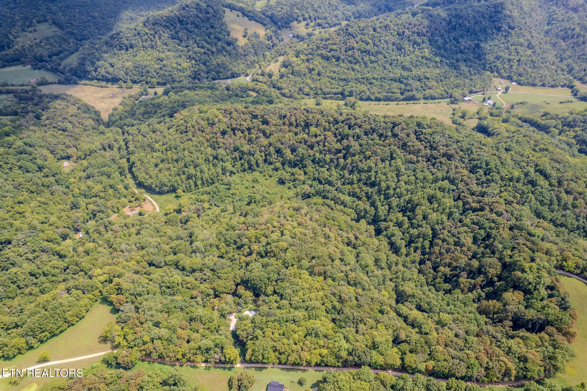 53.19AC Watts Hollow Road Buffalo Valley TN 38548