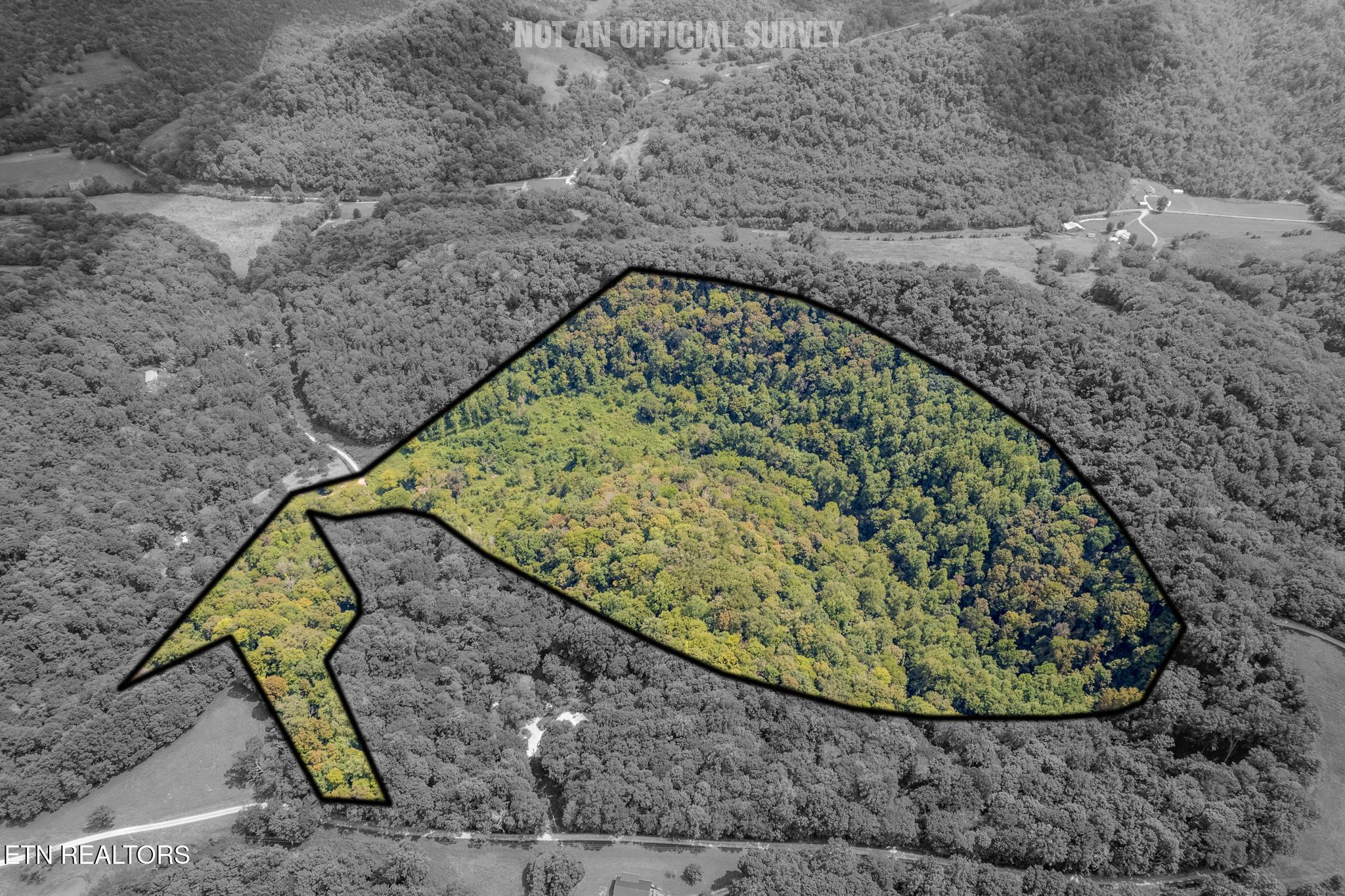 53.19AC Watts Hollow Road Buffalo Valley TN 38548