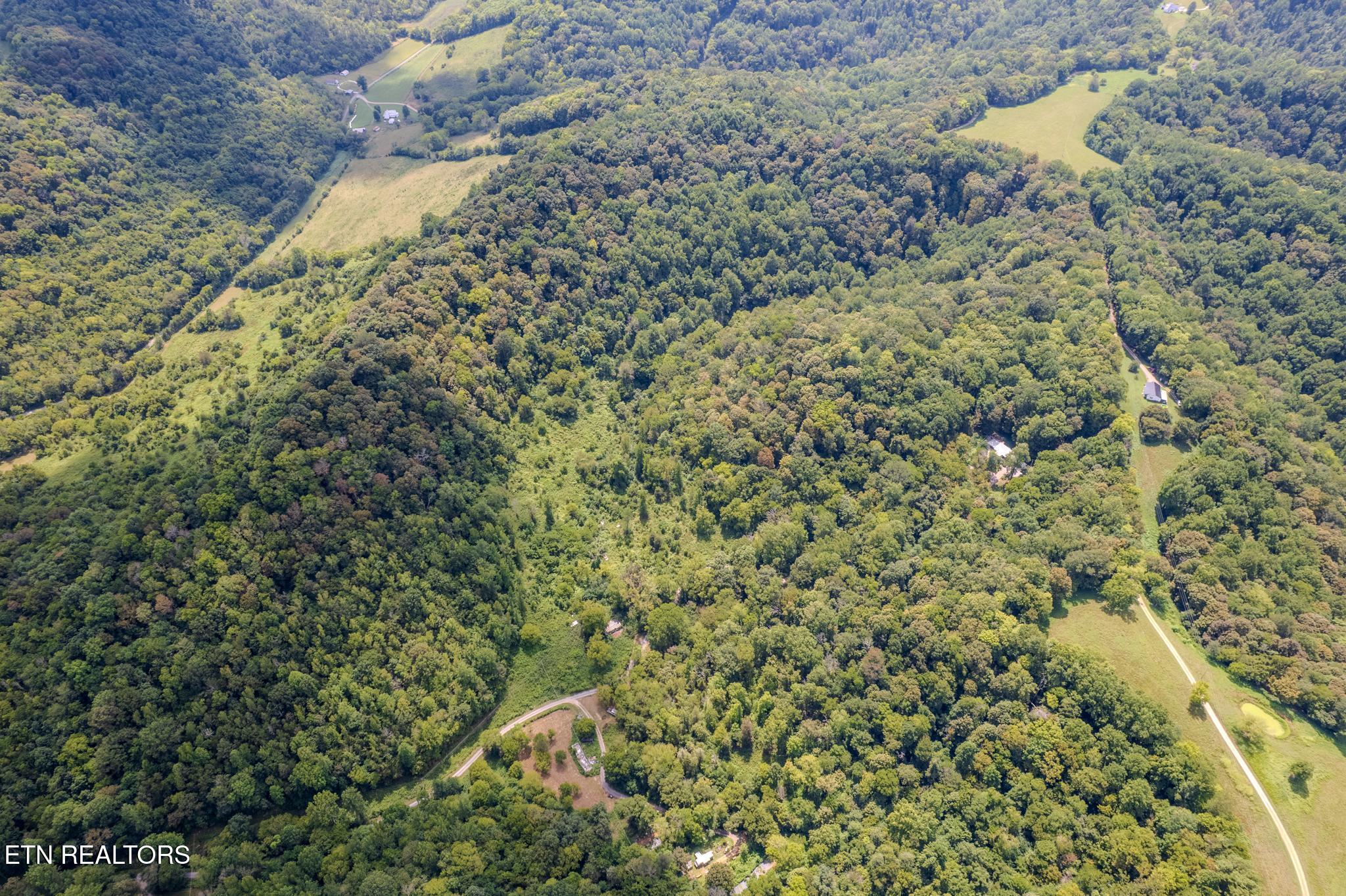 53.19AC Watts Hollow Road Buffalo Valley TN 38548