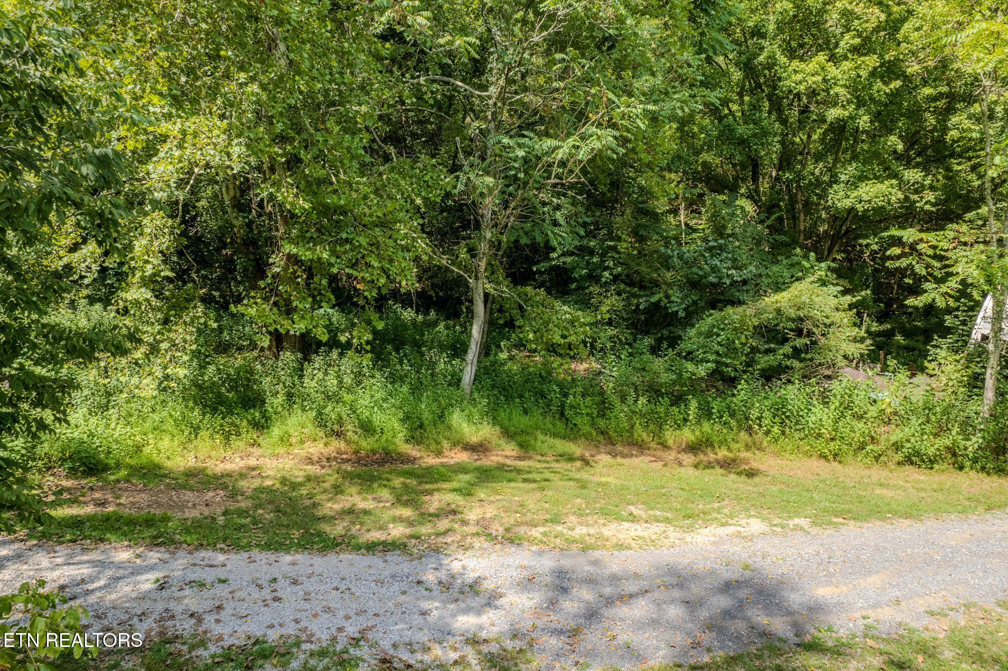 53.19AC Watts Hollow Road Buffalo Valley TN 38548