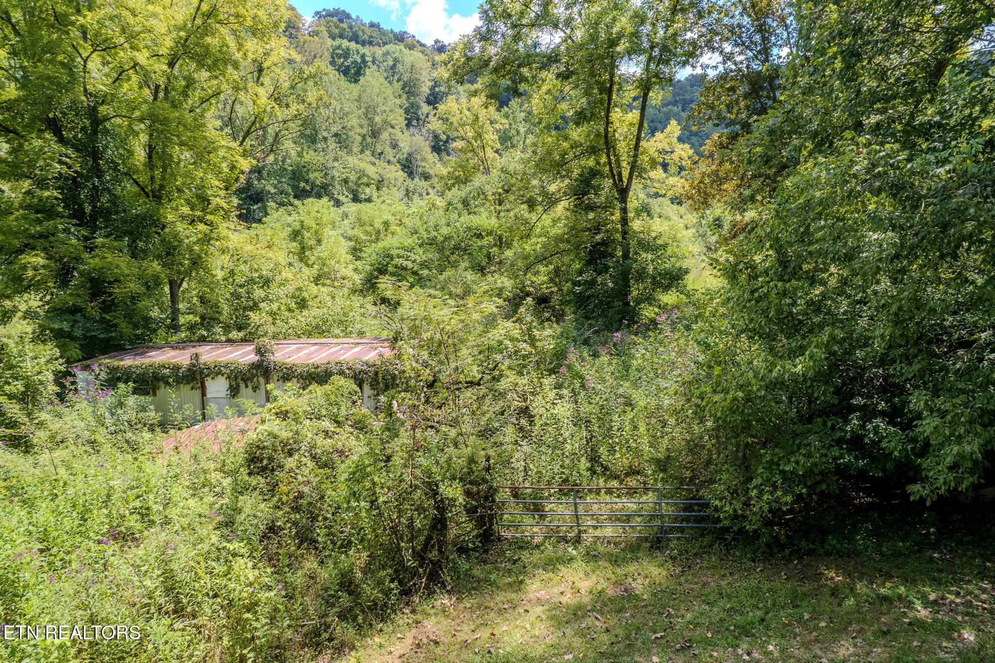 53.19AC Watts Hollow Road Buffalo Valley TN 38548