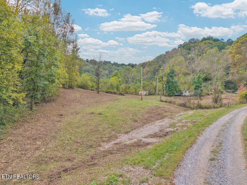 53.19AC Watts Hollow Road Buffalo Valley TN 38548