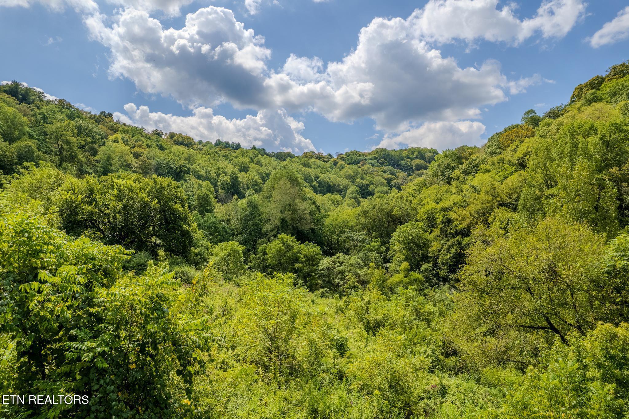 53.19AC Watts Hollow Road Buffalo Valley TN 38548