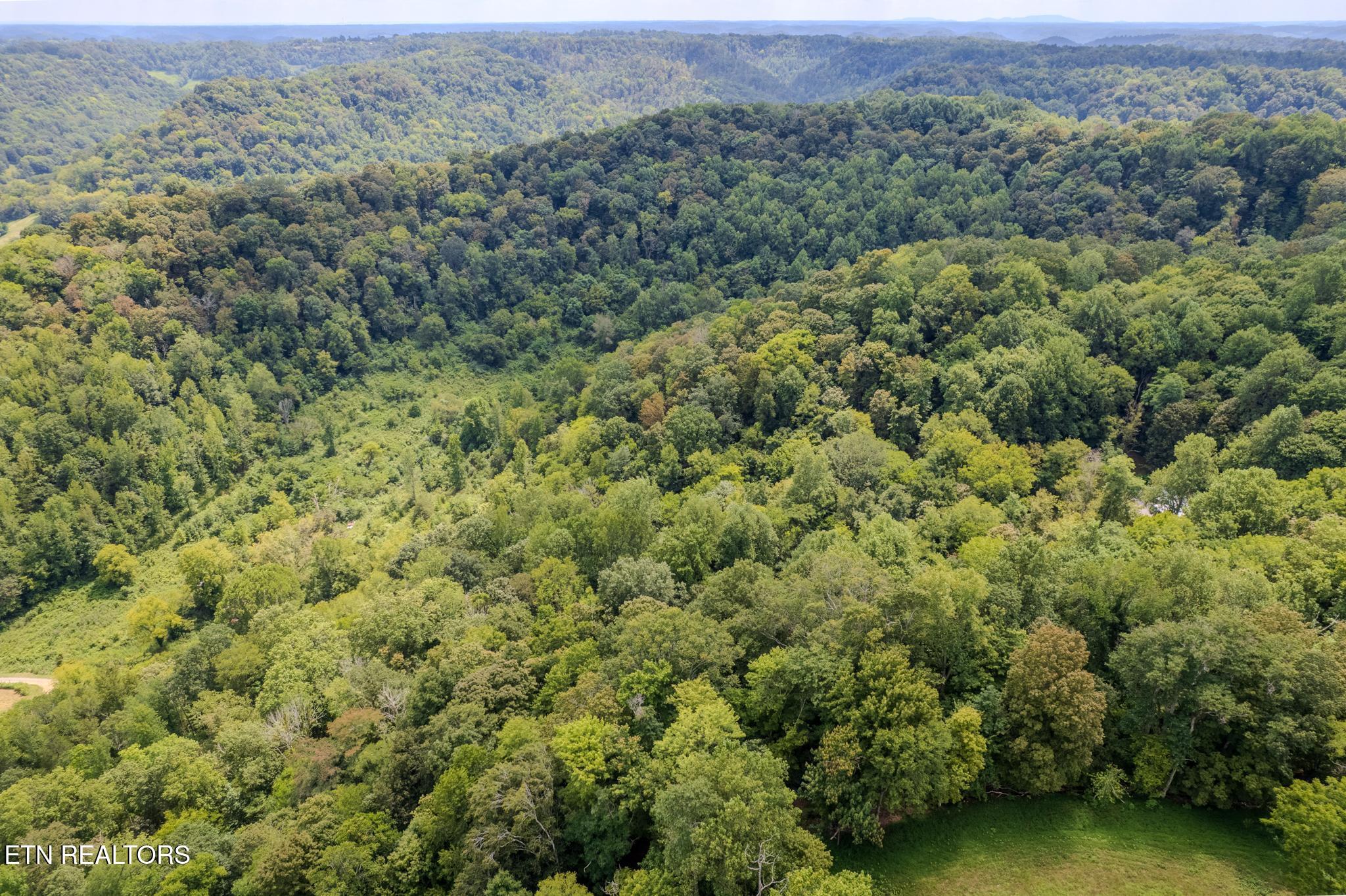 53.19AC Watts Hollow Road Buffalo Valley TN 38548