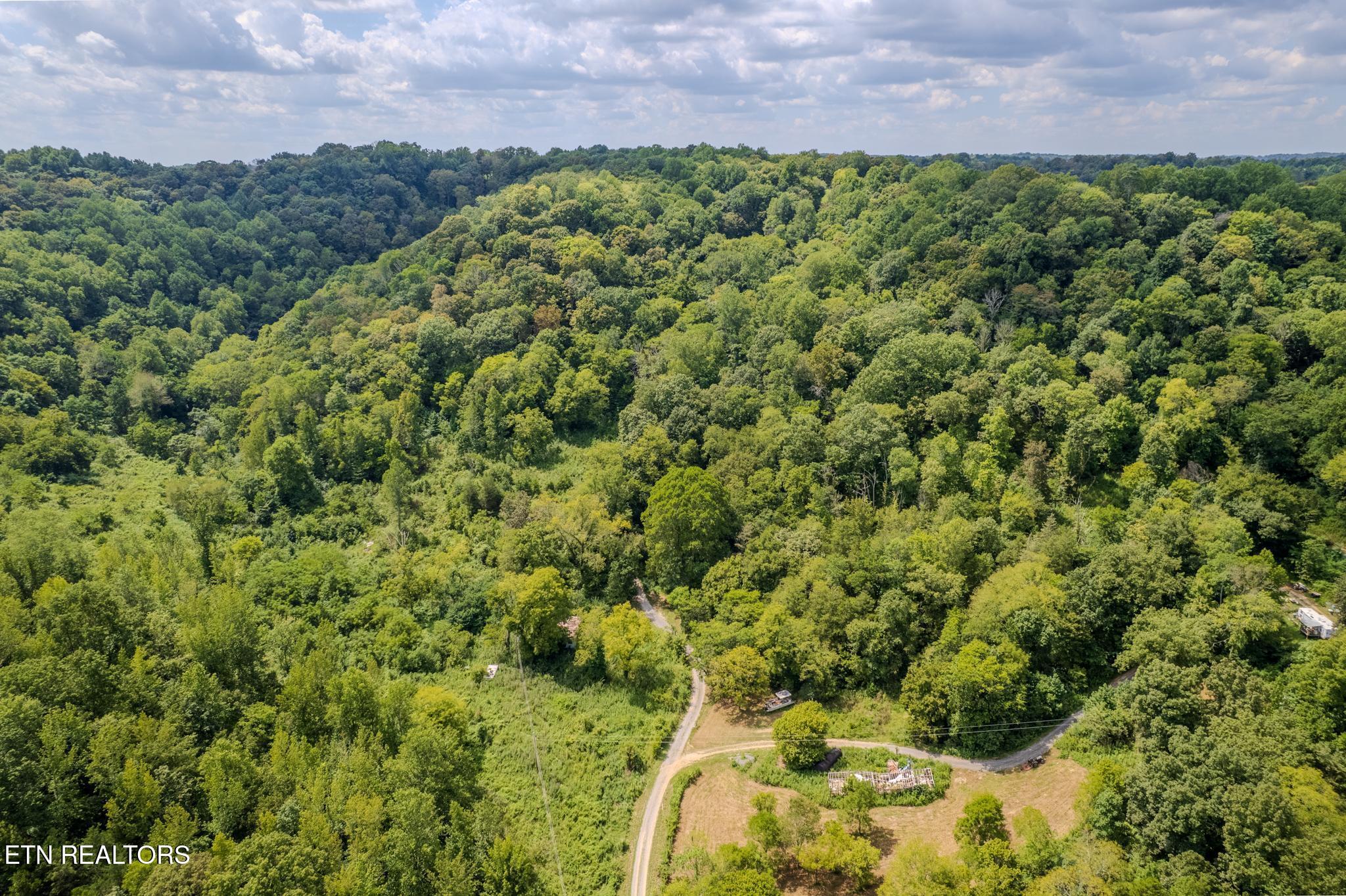 53.19AC Watts Hollow Road Buffalo Valley TN 38548