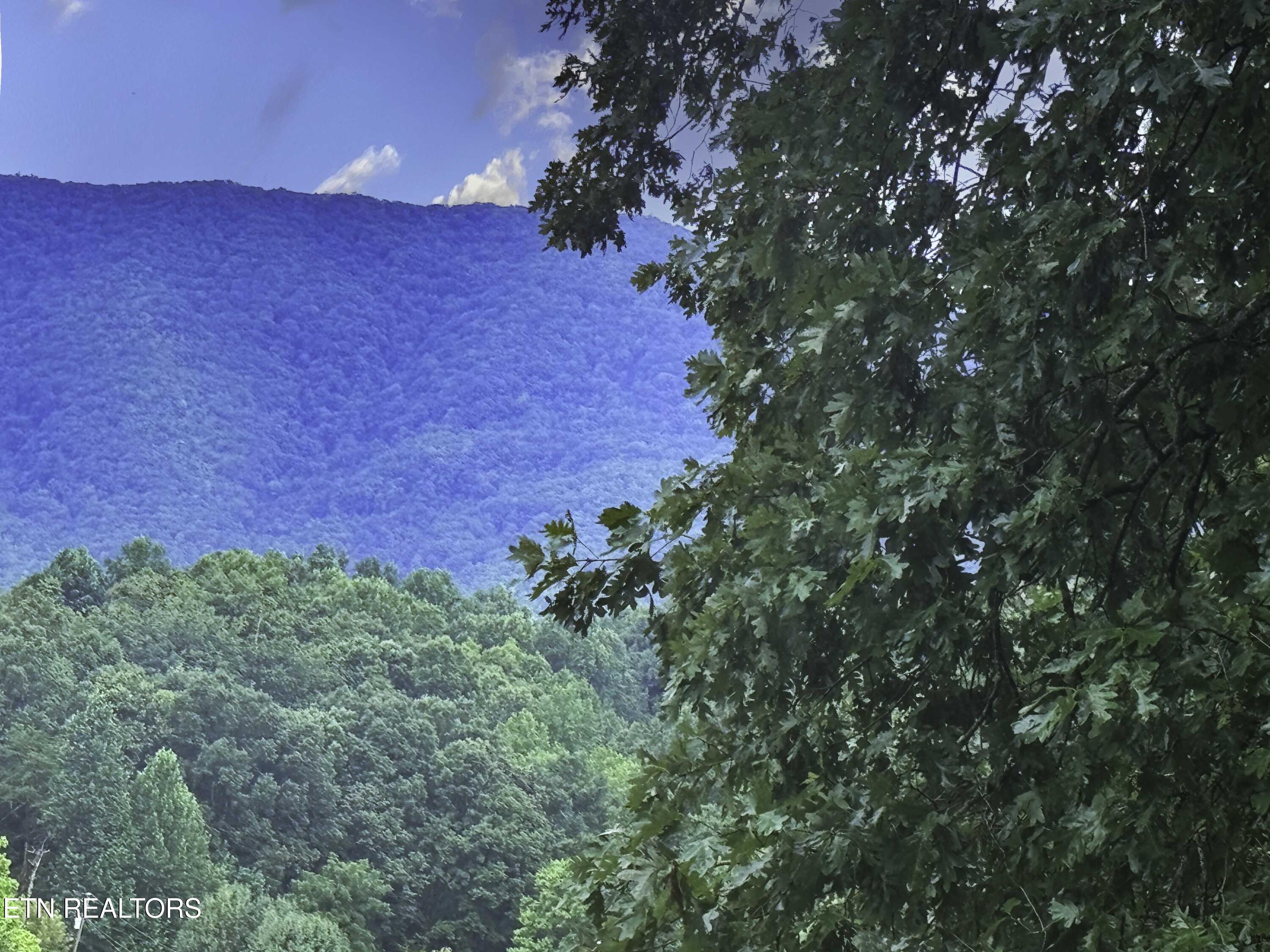 Boxwood Lane Sevierville TN 37862