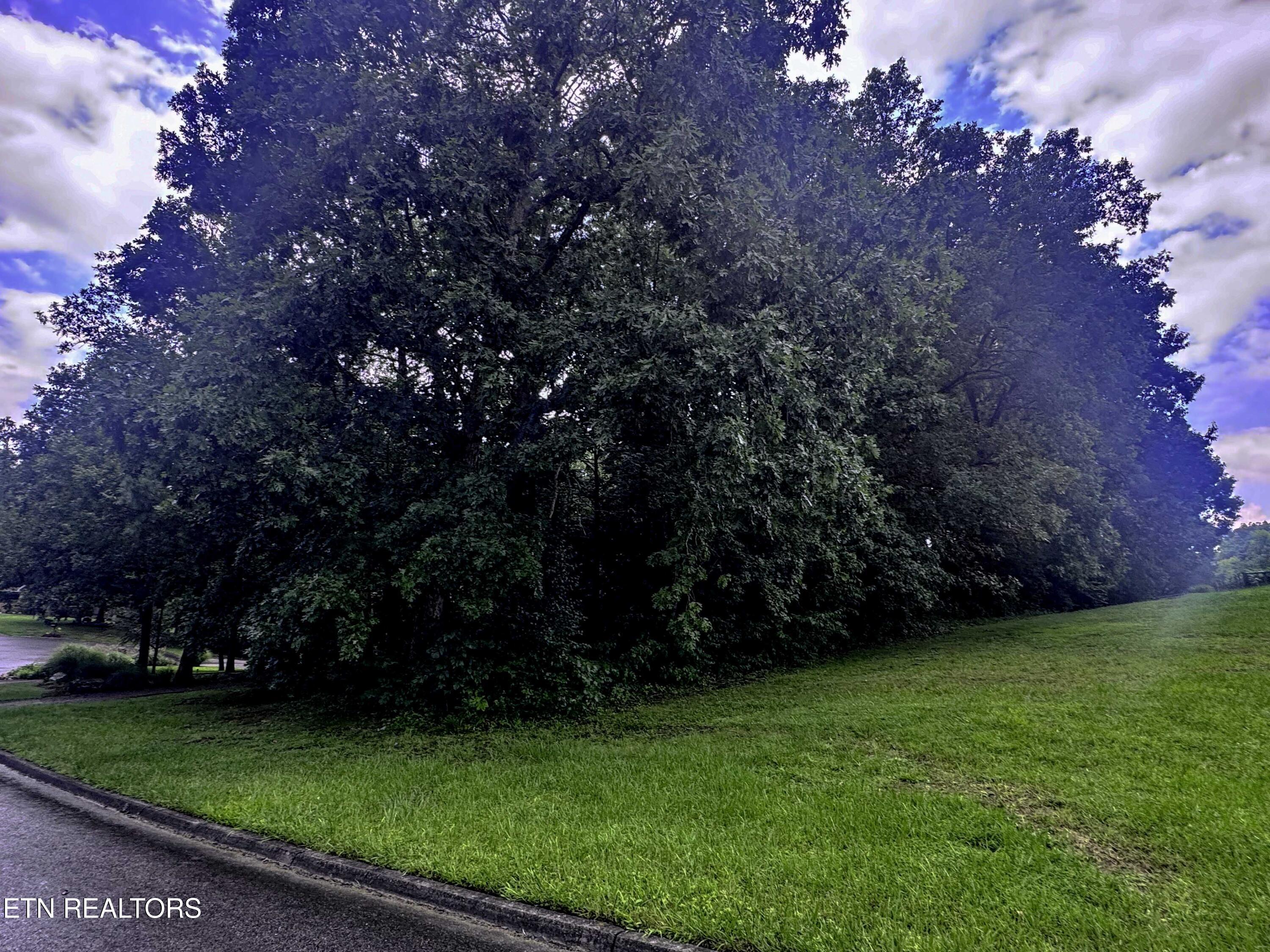 Boxwood Lane Sevierville TN 37862