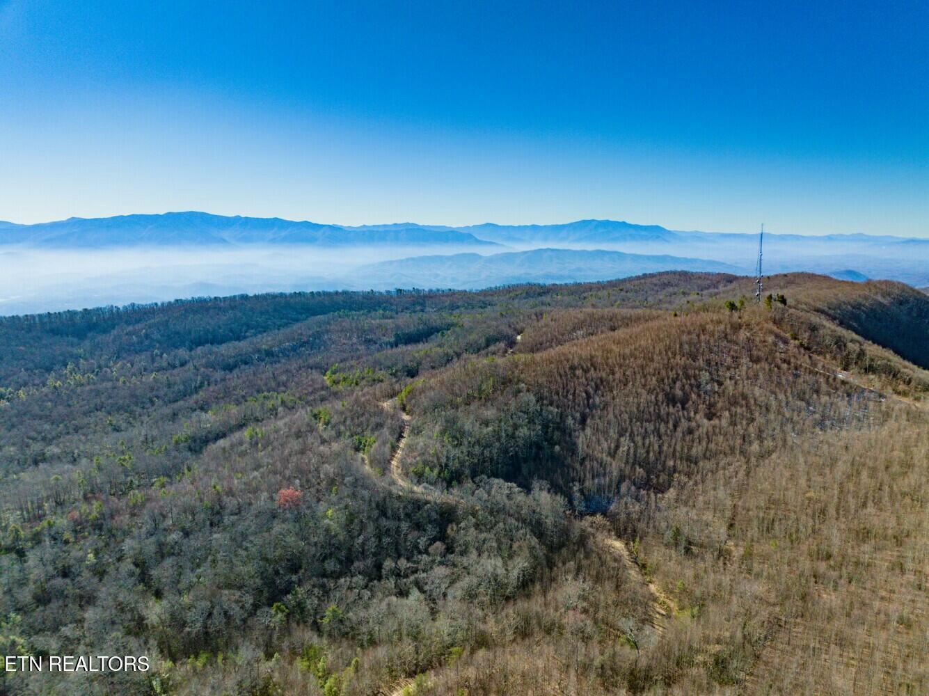 Seay Lane Dandridge TN 37725