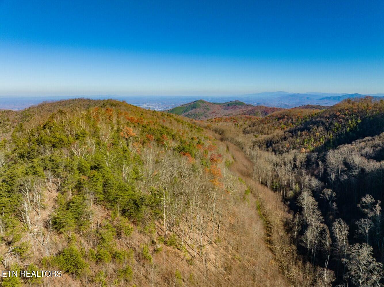 Seay Lane Dandridge TN 37725