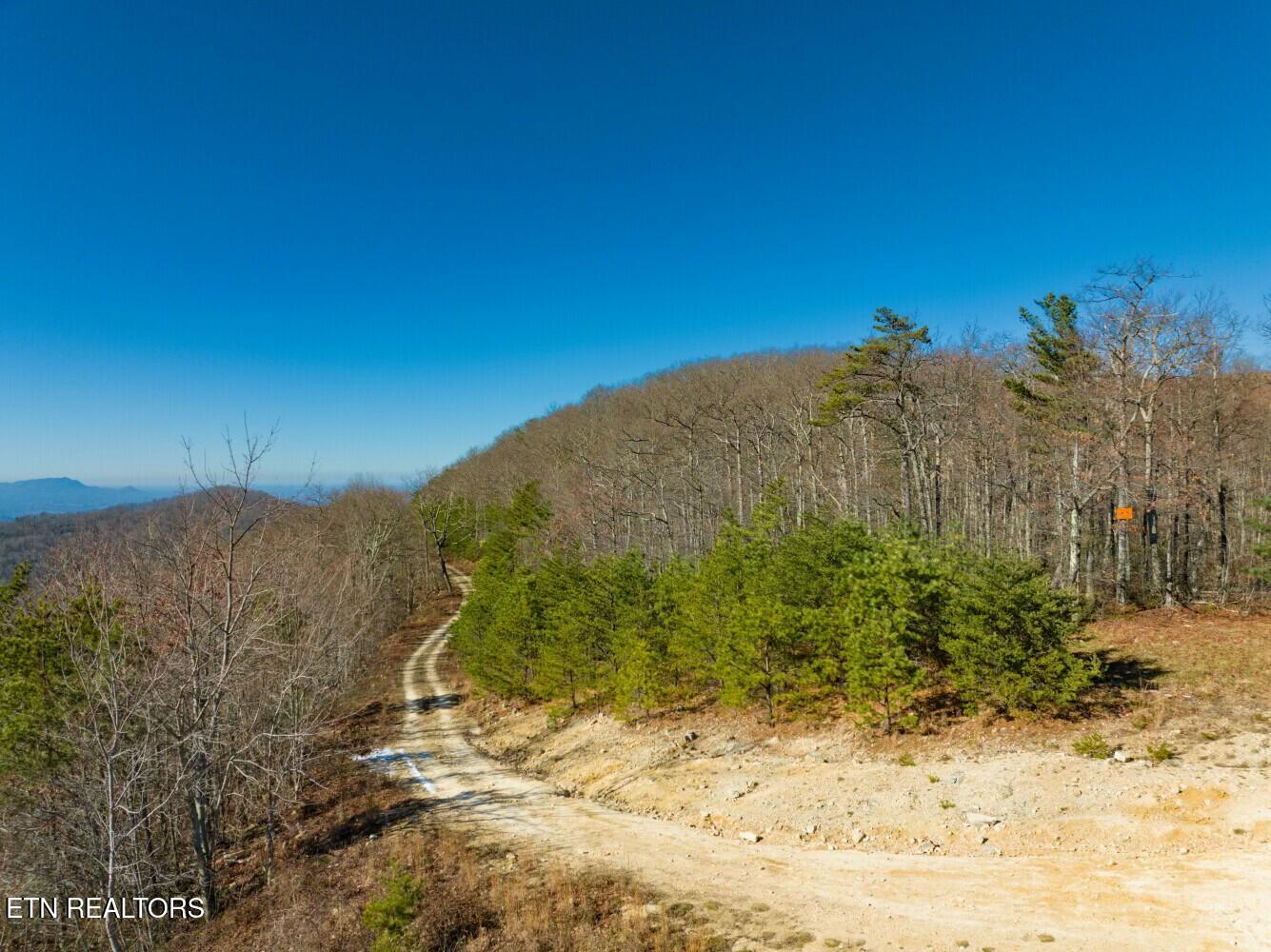 Seay Lane Dandridge TN 37725