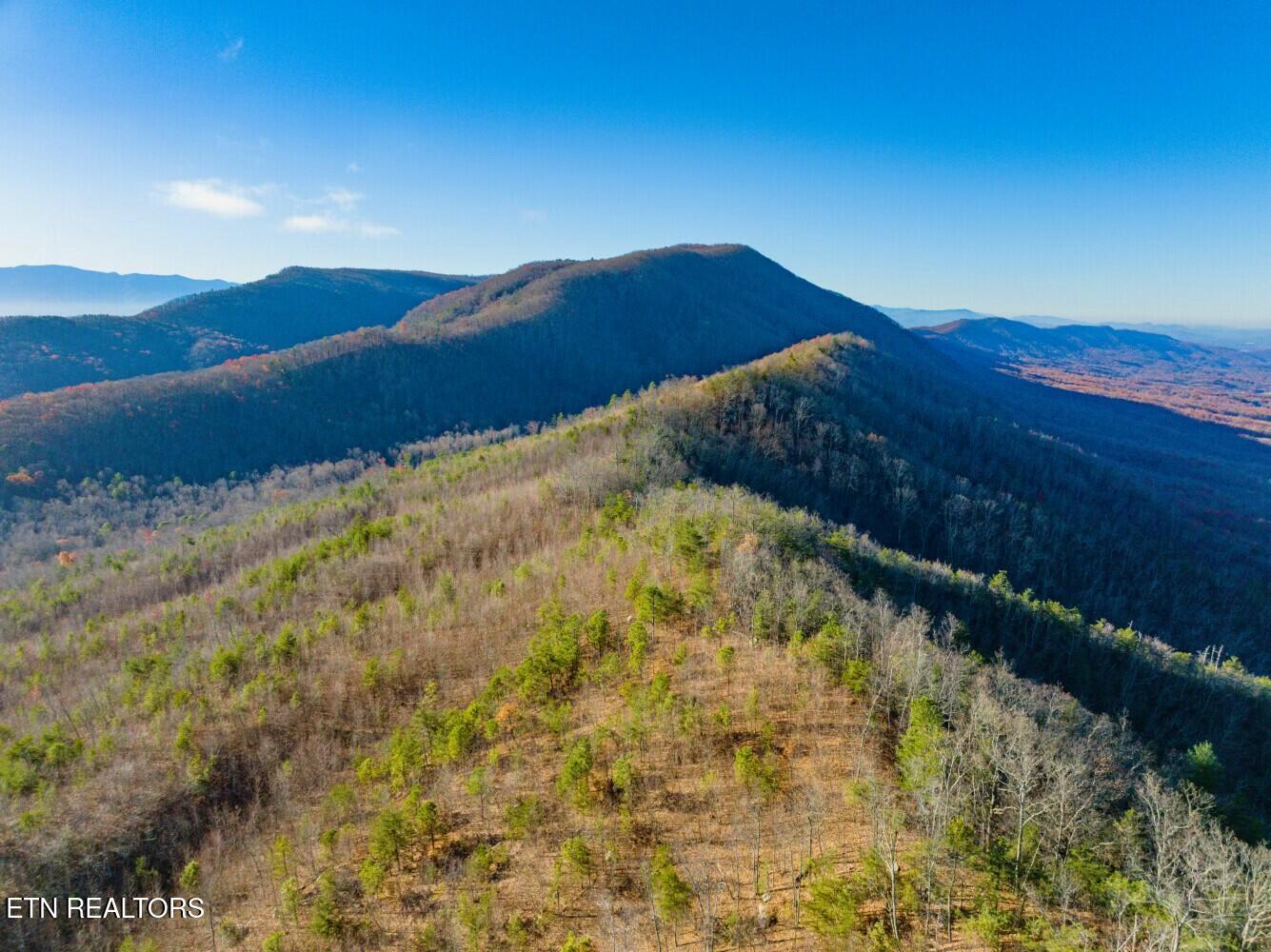 Seay Lane Dandridge TN 37725