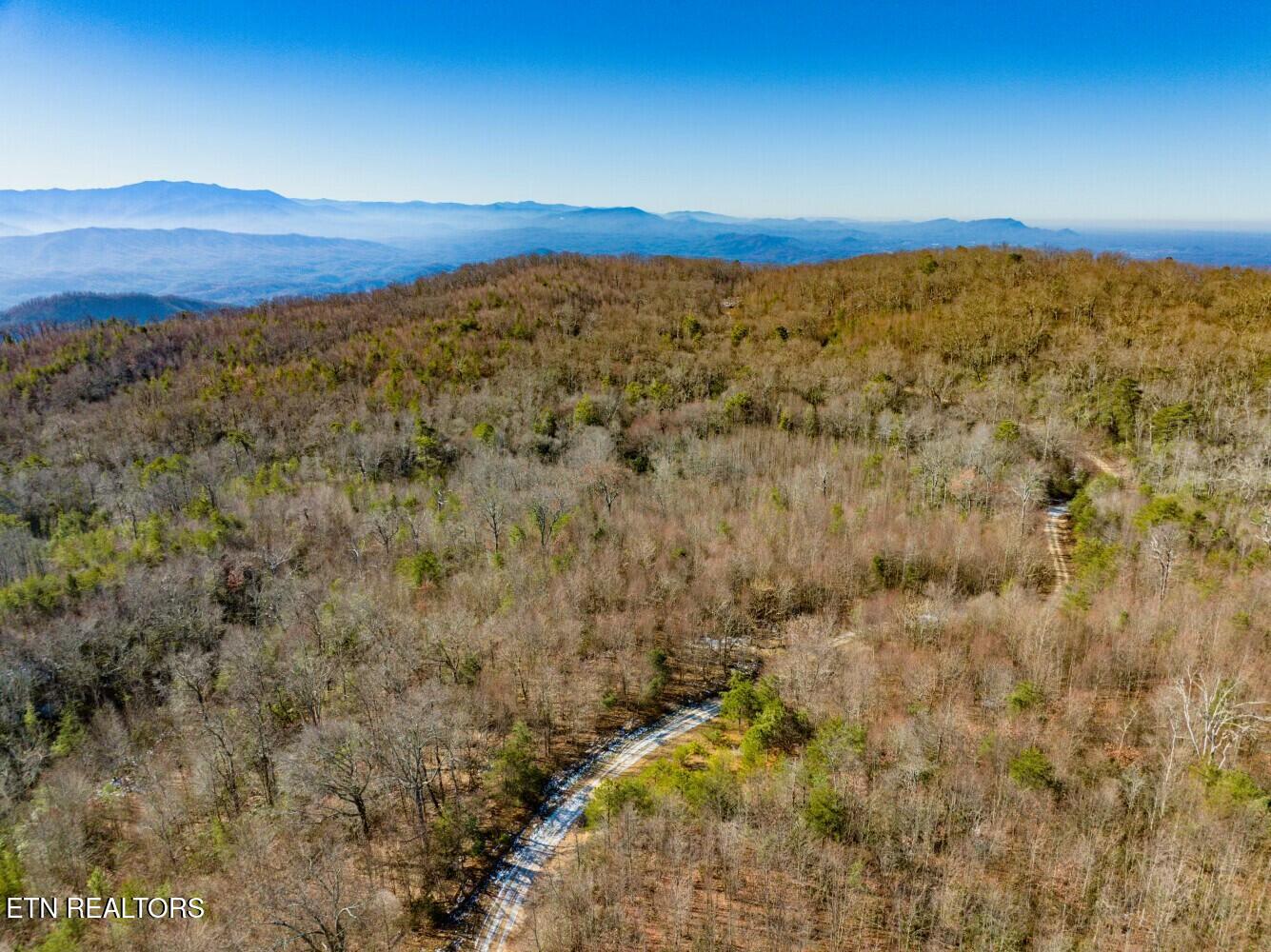 Seay Lane Dandridge TN 37725