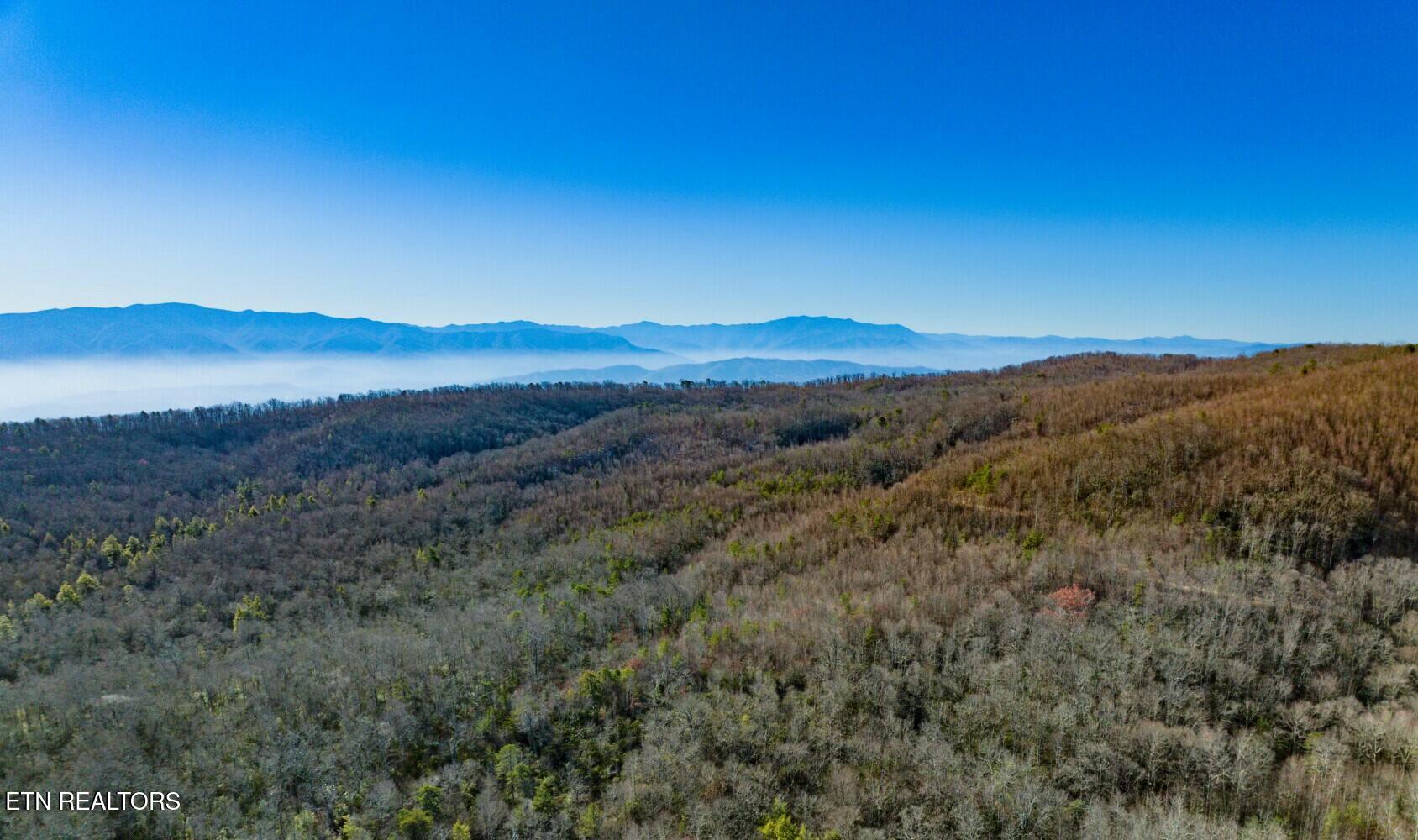 Seay Lane Dandridge TN 37725