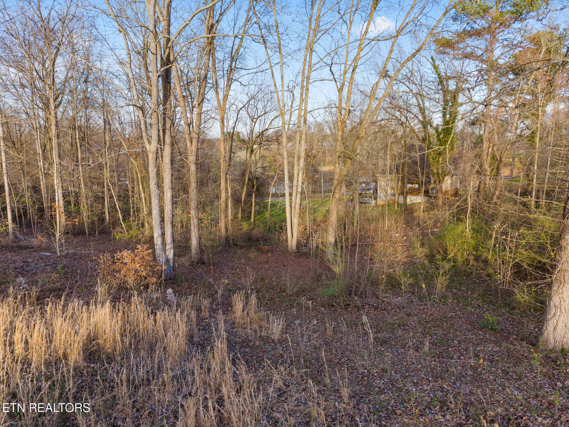 Lot 39 Idlewild Drive White Pine TN 37890