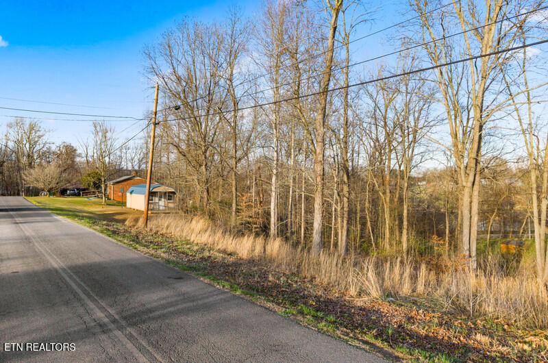 Lot 39 Idlewild Drive White Pine TN 37890