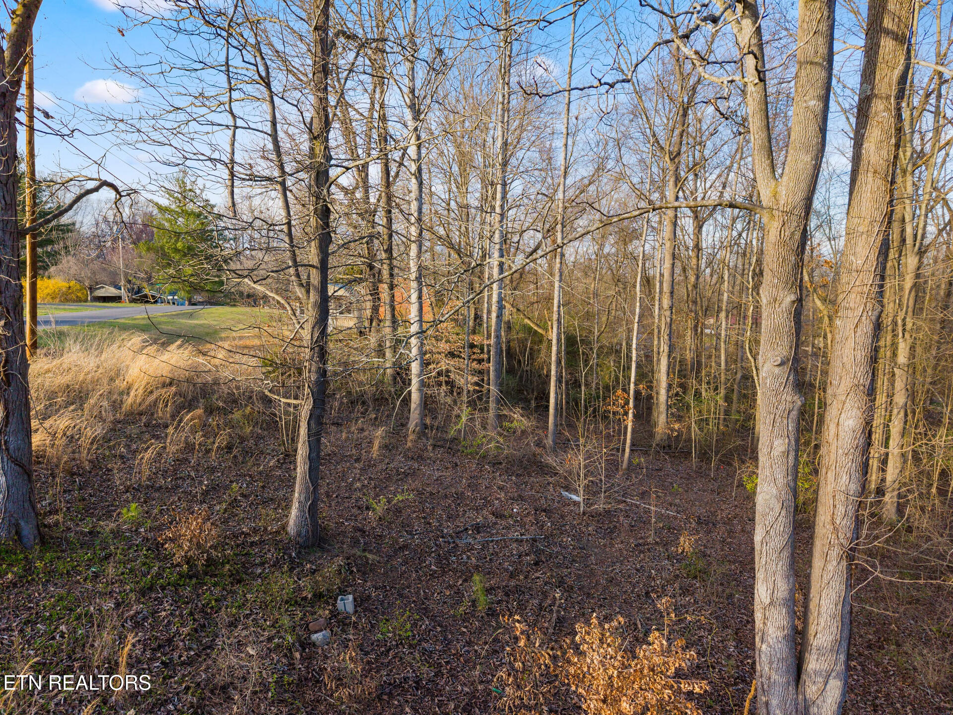 Lot 39 Idlewild Drive White Pine TN 37890