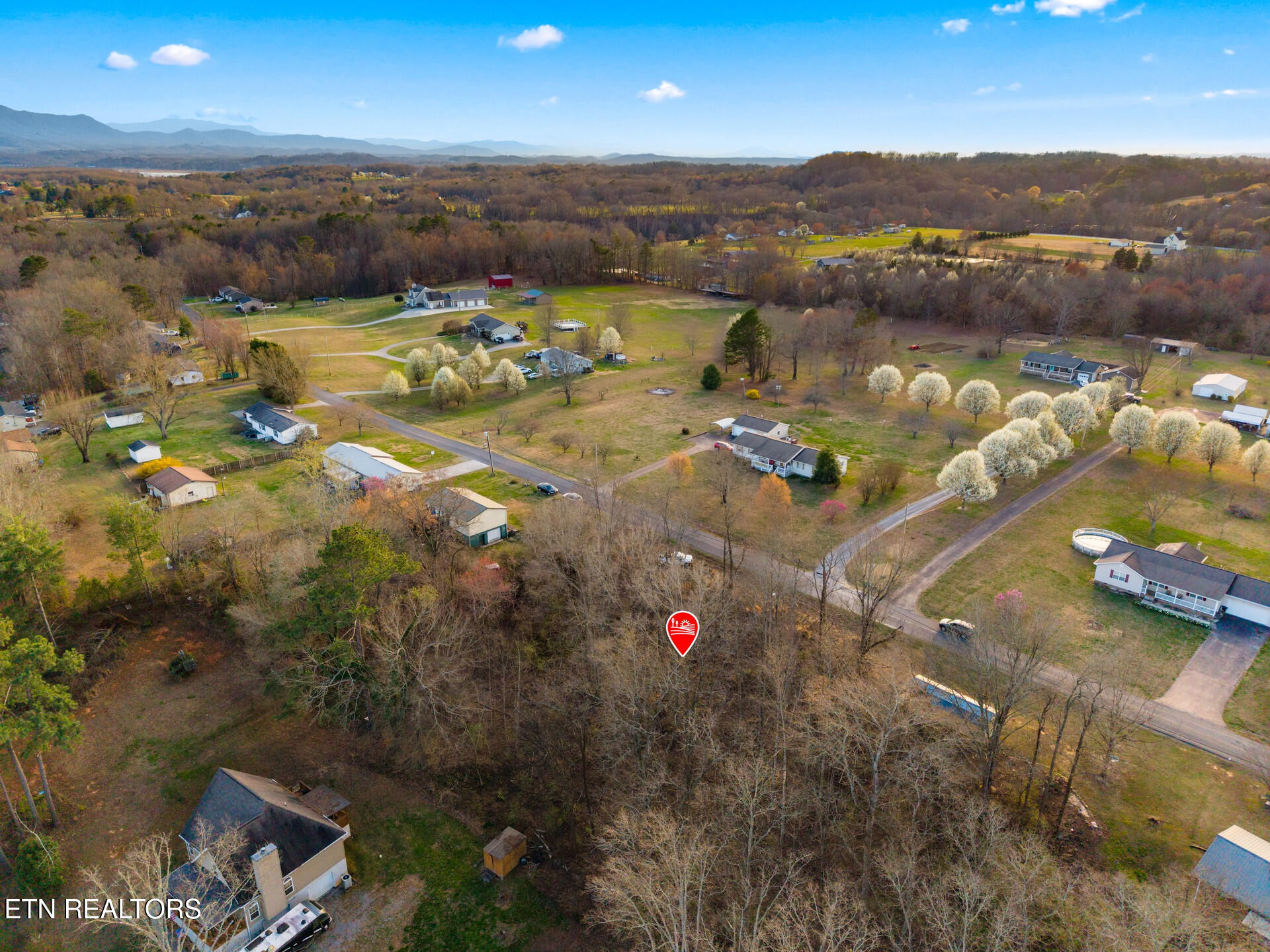 Lot 39 Idlewild Drive White Pine TN 37890