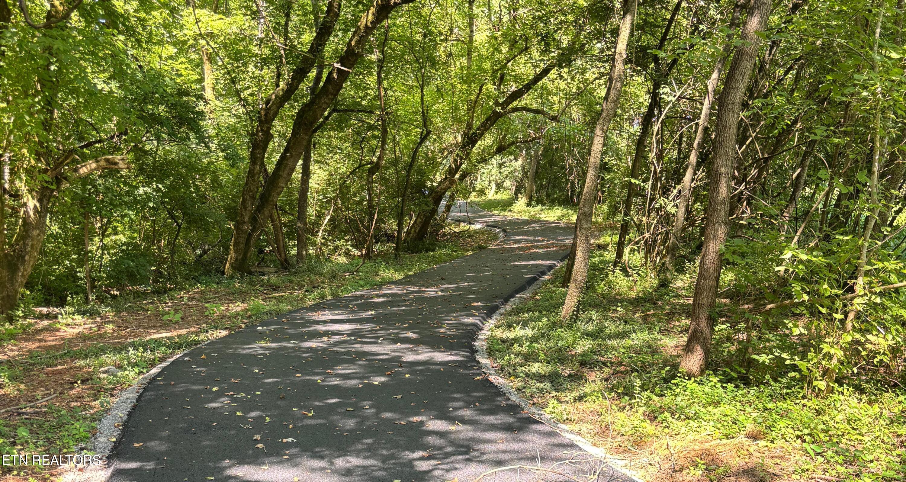3845 Gravelly Hills Road Louisville TN 37777
