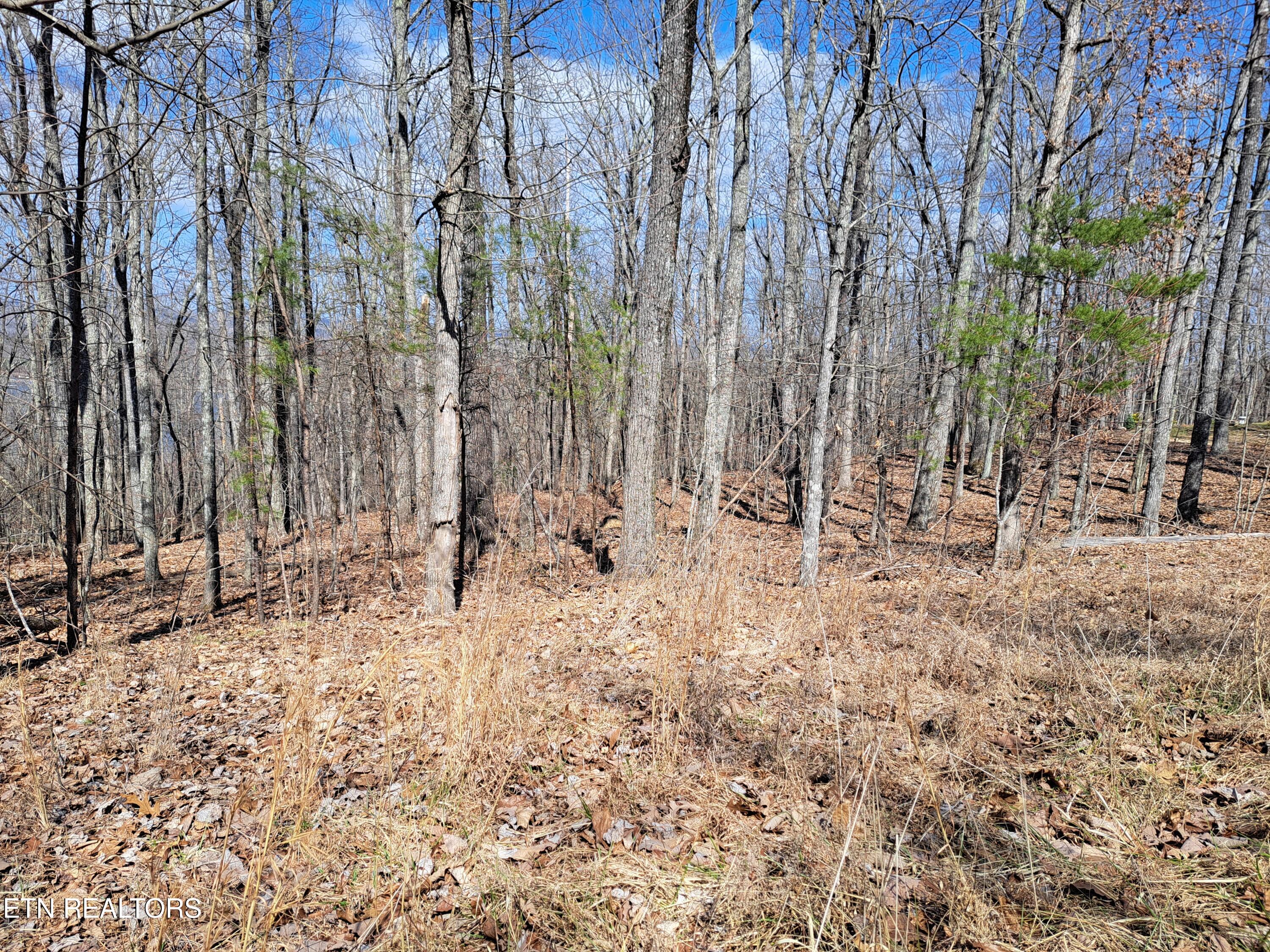 349 Rotherham Drive Crossville TN 38558