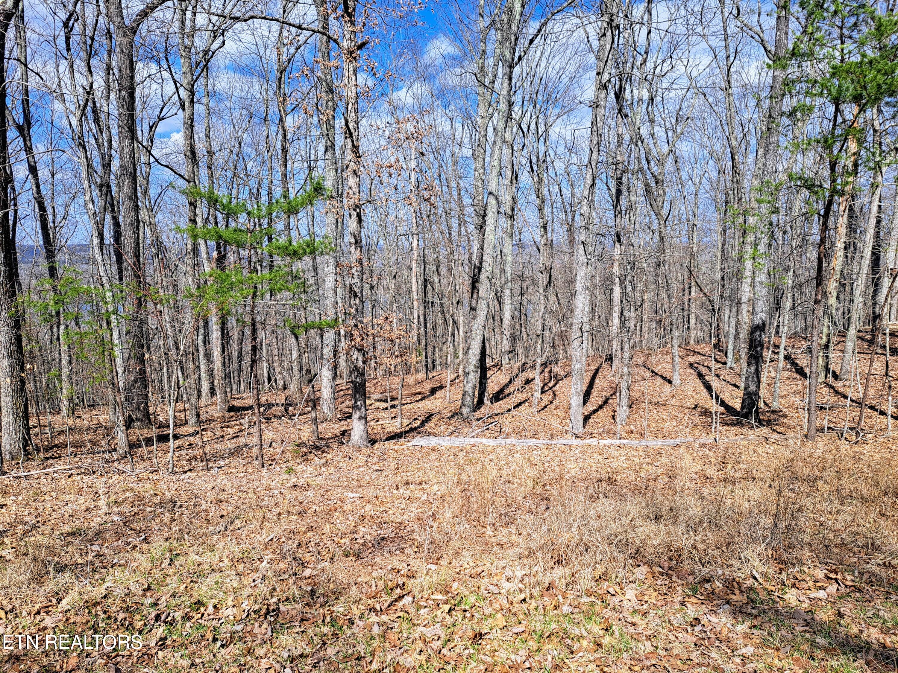 349 Rotherham Drive Crossville TN 38558