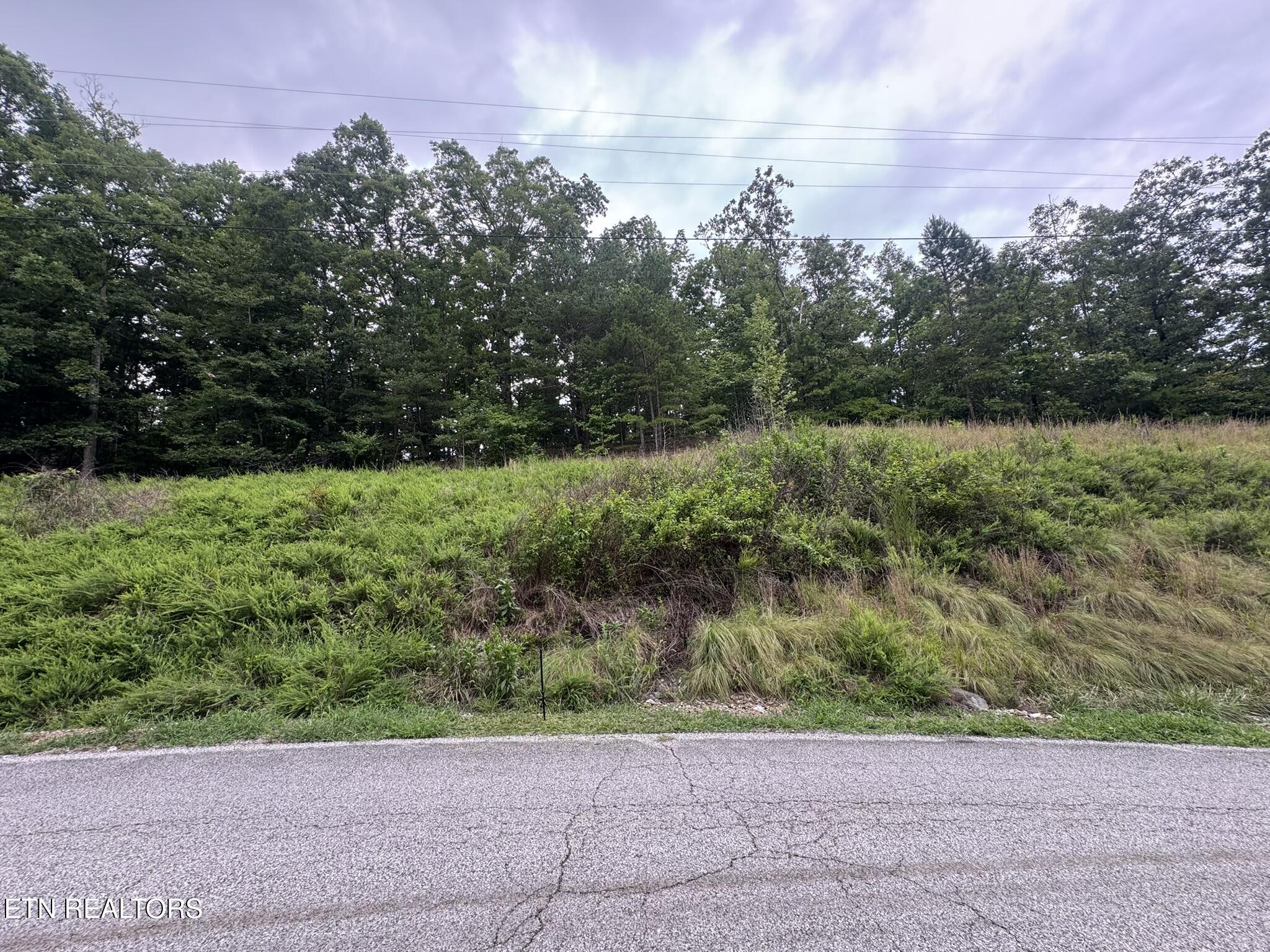 Hidden Oaks Road Rockwood TN 37854