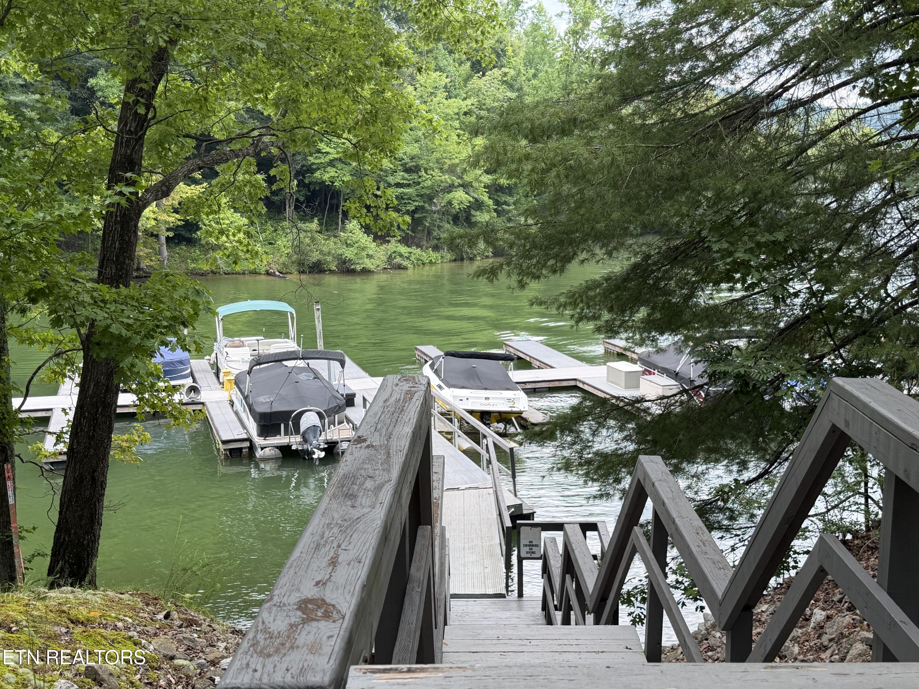 Hidden Oaks Road Rockwood TN 37854